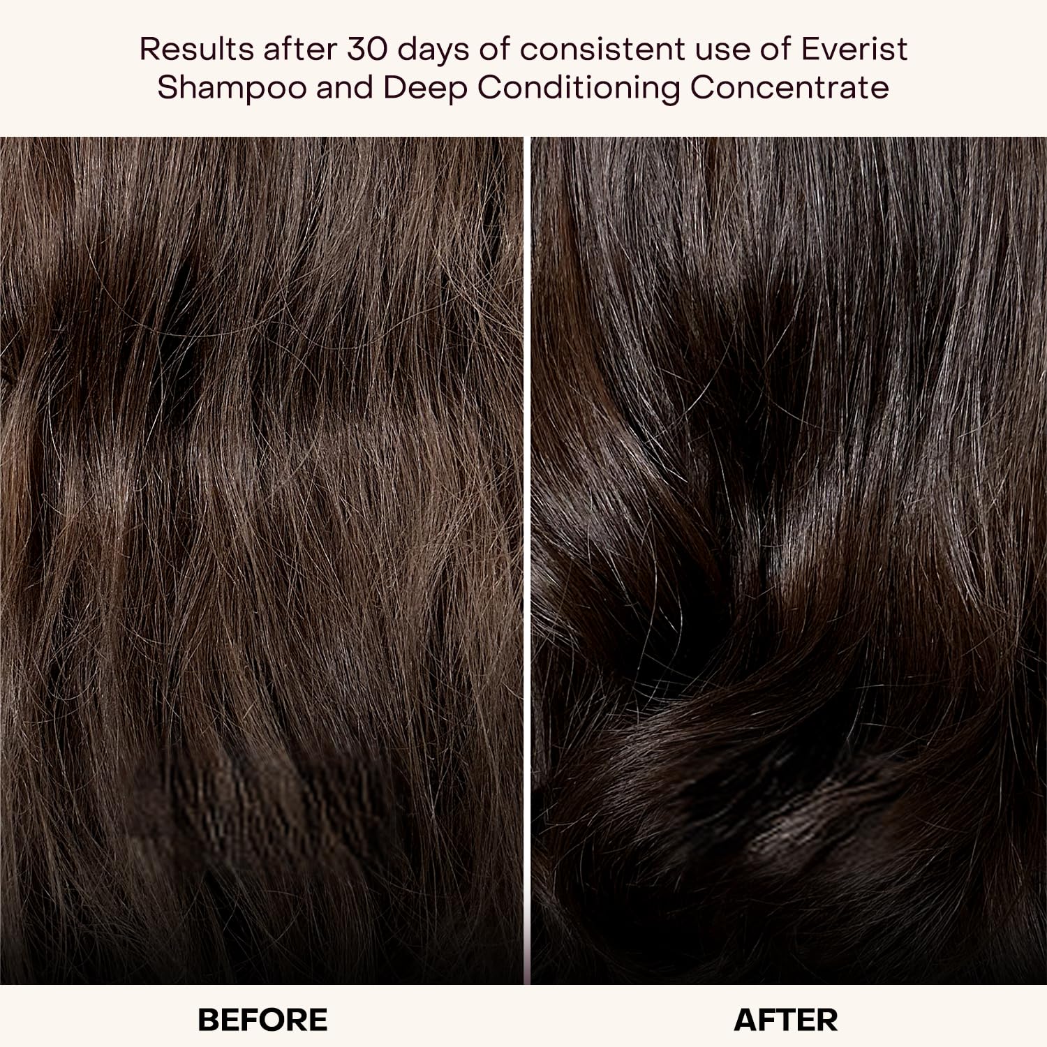 Everist Deep Conditioning Concentrate – 2-in-1 Daily Conditioner & Mask for Hydration, Frizz & Shine (Vegan)