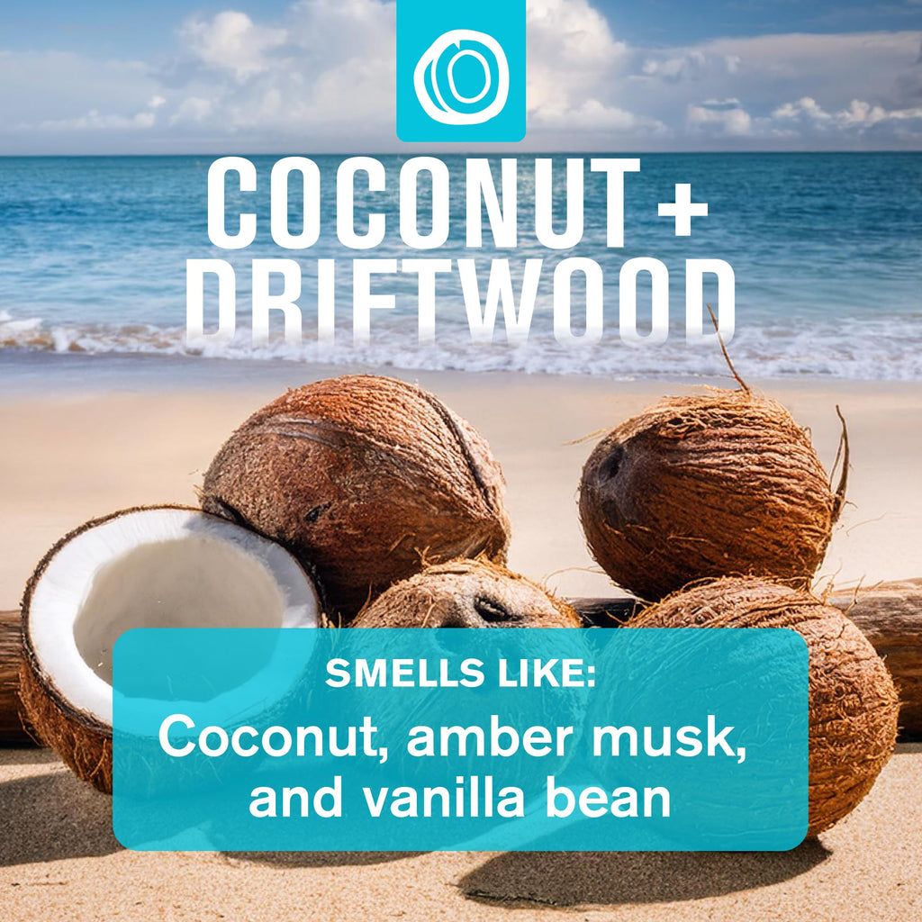 Every Man Jack Gift Set Coconut + Driftwood: Body Wash, 2-in-1 Shampoo, Deodorant & Face Wash