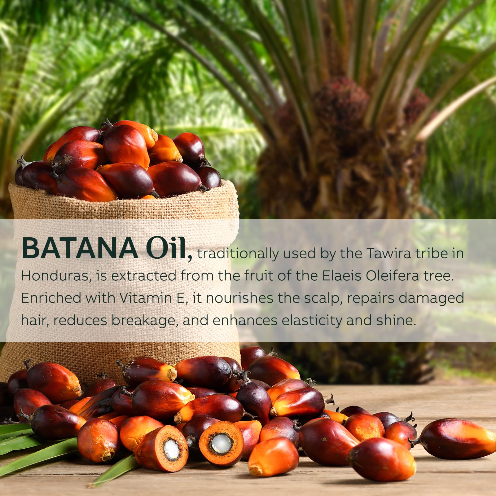 FEIBTH Raw Batana Oil for Hair Growth – Organic Batana Oil, Scalp Nourishment, Thicker Hair