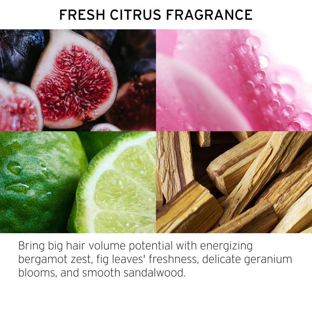 FEKKAI Brilliant Gloss Travel Bundle | Full Blown Volume Shampoo & Conditioner, Glass Hair Oil Serum & Texturizer