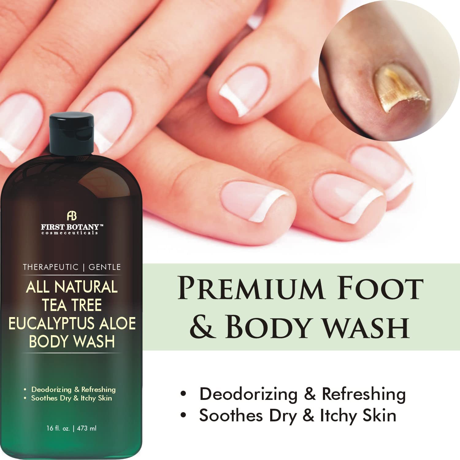 First Botany ALL Natural Body Wash – Tea Tree & Eucalyptus – Deodorizing, Moisturizing Shower Gel for Women & Men – 16 fl oz