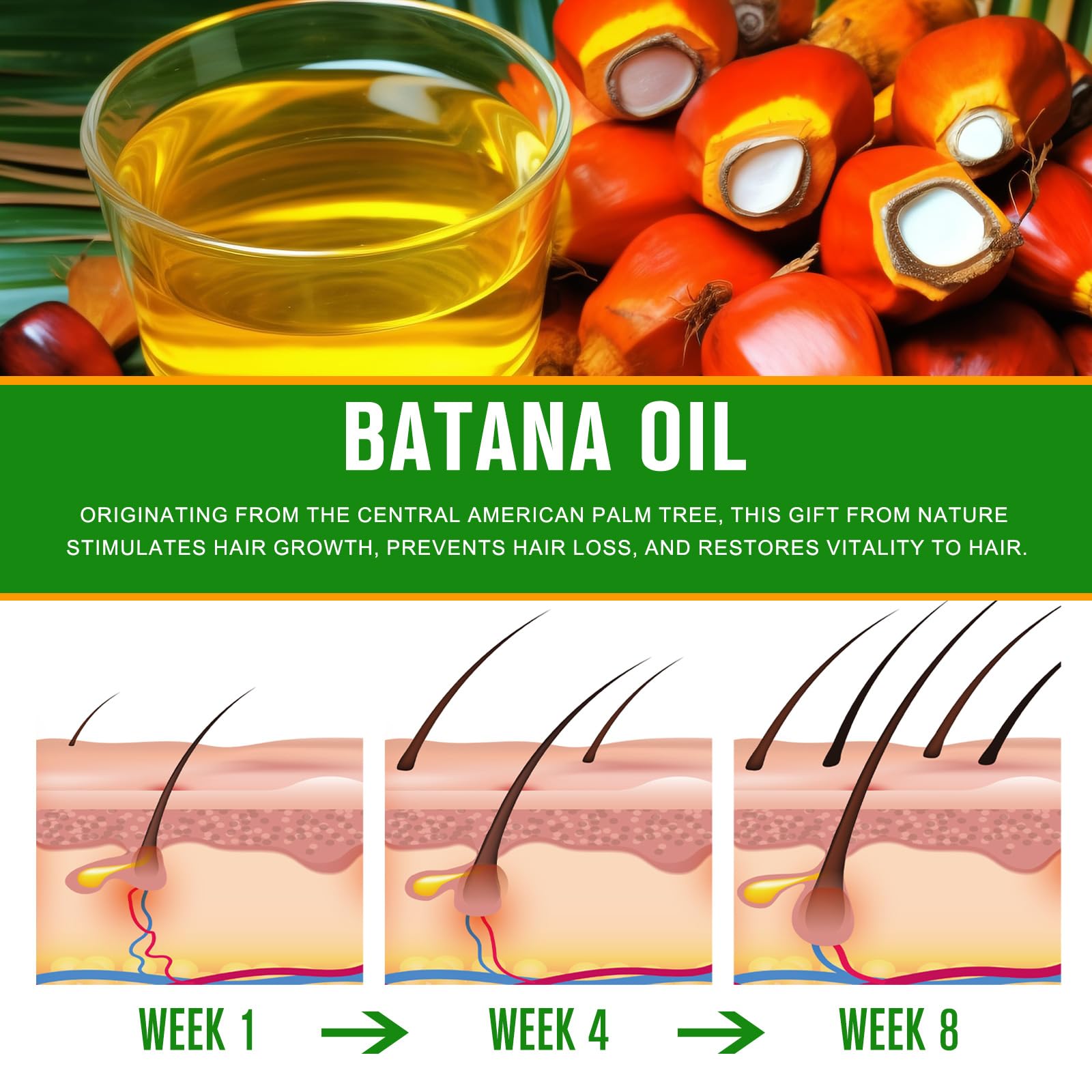 Flasture Batana Oil for Hair Growth – 100% Pure, 2.02 fl oz