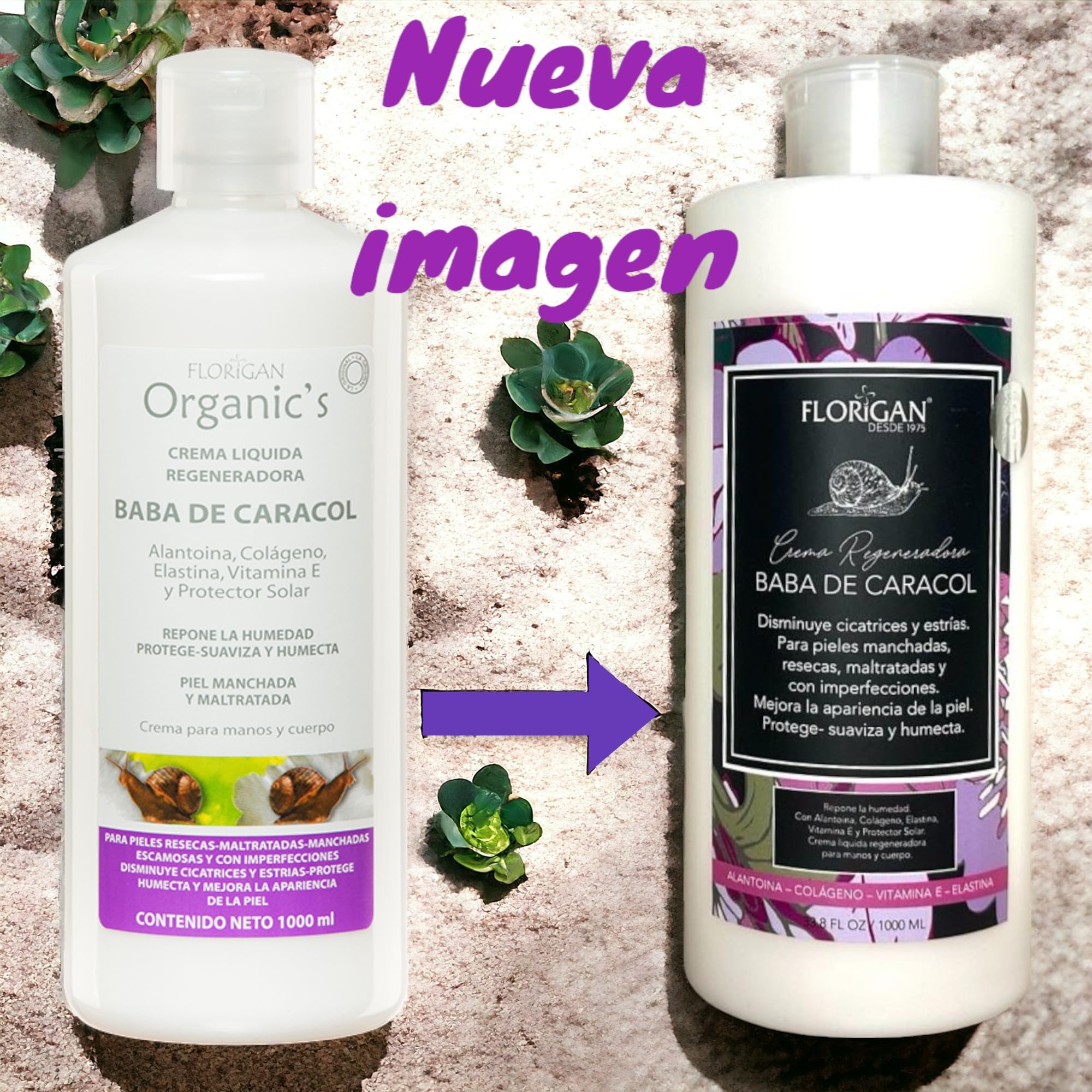 Florigan Face & Body Dynamic Lotion Baba de Caracol 1L – Hydration & Light Sun Protection