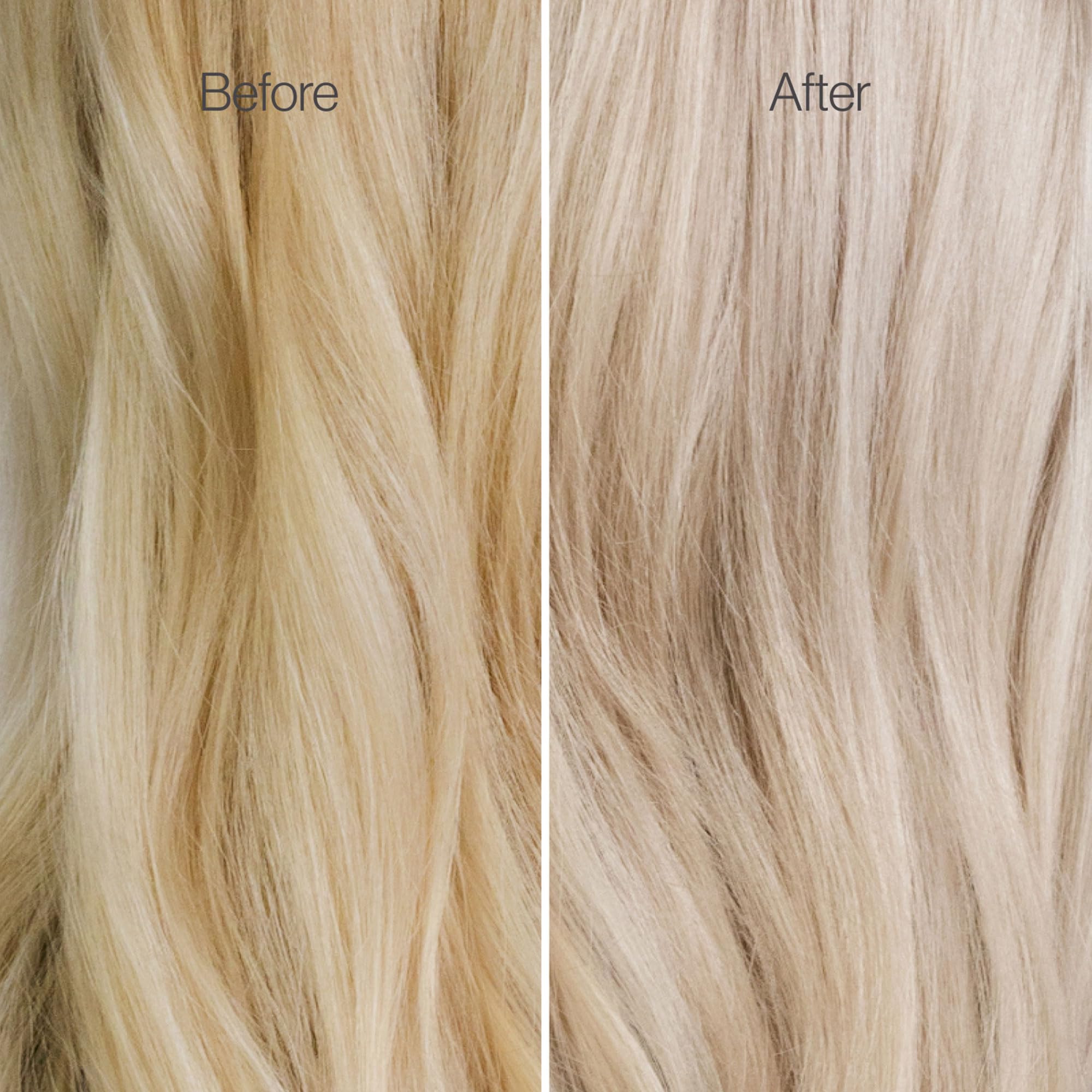 Freewill Blonde Preserve Purple Conditioner – Sulfate-Free Toner for Blonde Hair, 8.5 oz