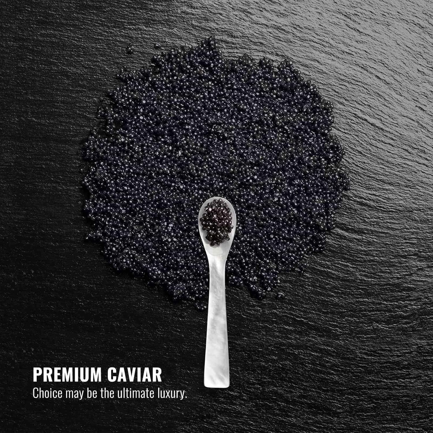 FRENCCIGA Caviar Hair Mask – Replenishing Moisture for Dry Hair with Luxurious Caviar Complex (8.45 oz)