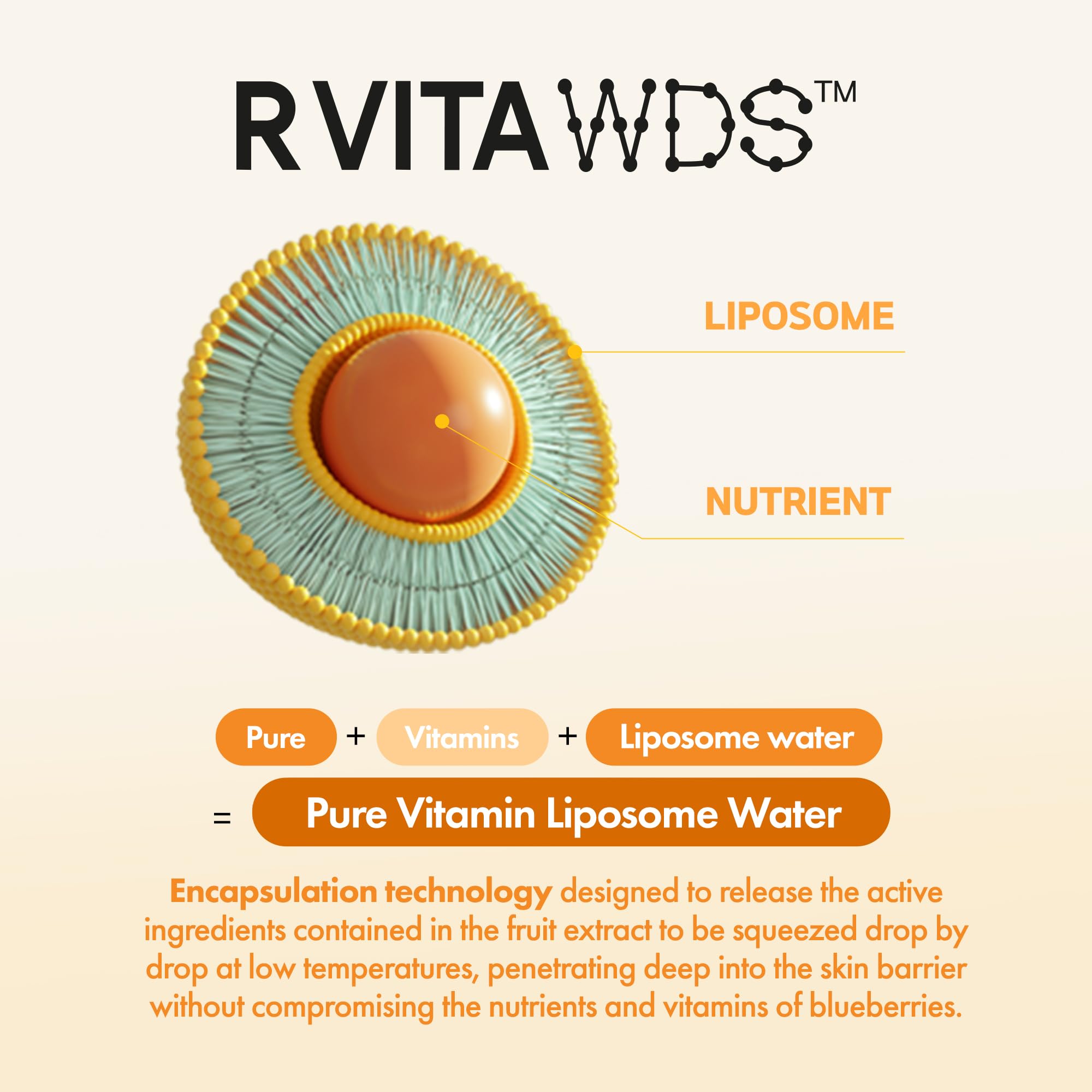 FRUDIA Citrus Brightening Vitamin C Ampoule – Lightweight Daily Serum for Radiance & Hydration (1.01 Fl Oz)