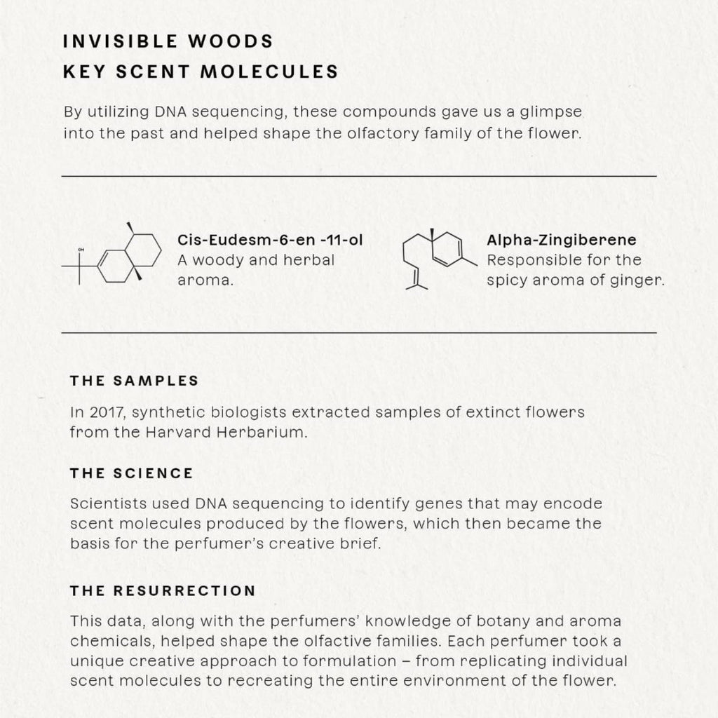 Future Society Invisible Woods Perfume – Woody Floral EDP with Eucalyptus, Grapefruit & Rose | 50ml