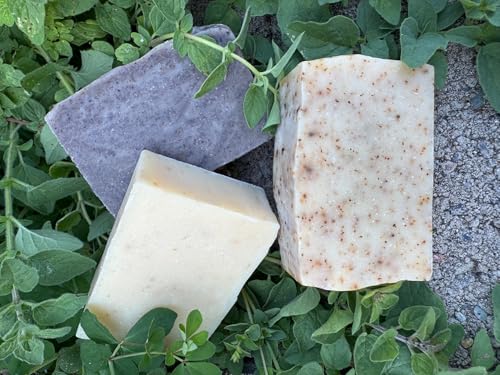 GemTii Three Pack Avocado Aloe, Gromwell Lavender & Rosemary Tea Soap Bars | Premium Cold Processed Handcrafted in USA