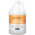 Ginger Lily Farms Club & Fitness Moisturizing Conditioner – 1 Gallon, Vegan, Cruelty-Free, Citrus