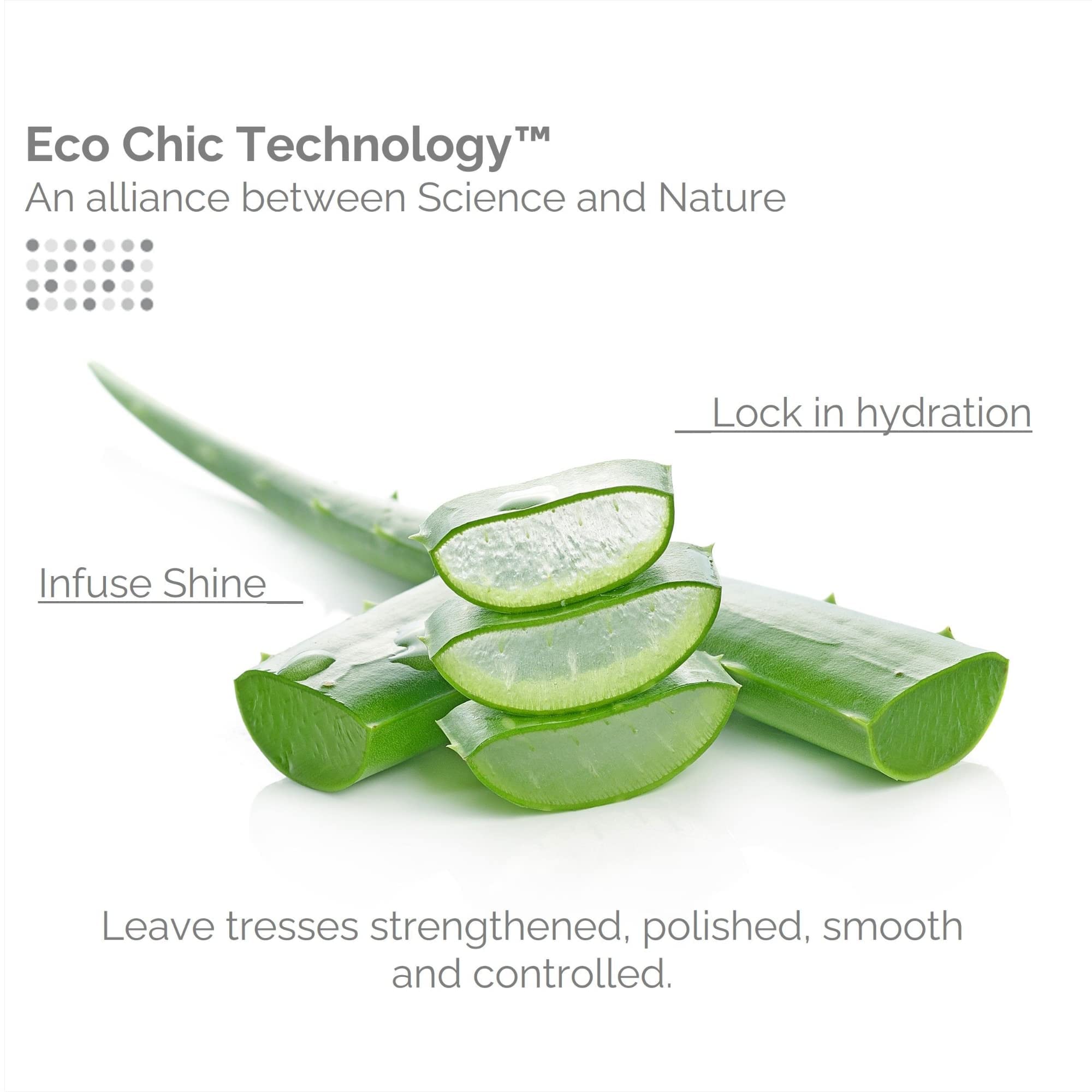 Giovanni Eco Chic Smooth as Silk Deep Moisture Shampoo – 8.5 oz | Hydrating, Silky-Soft Hair