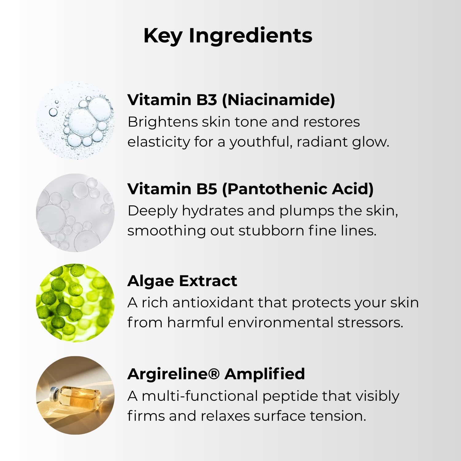 Gle Skincare: Anti-Wrinkle Moisturizer with Vitamin E, Algae, Niacinamide & B5