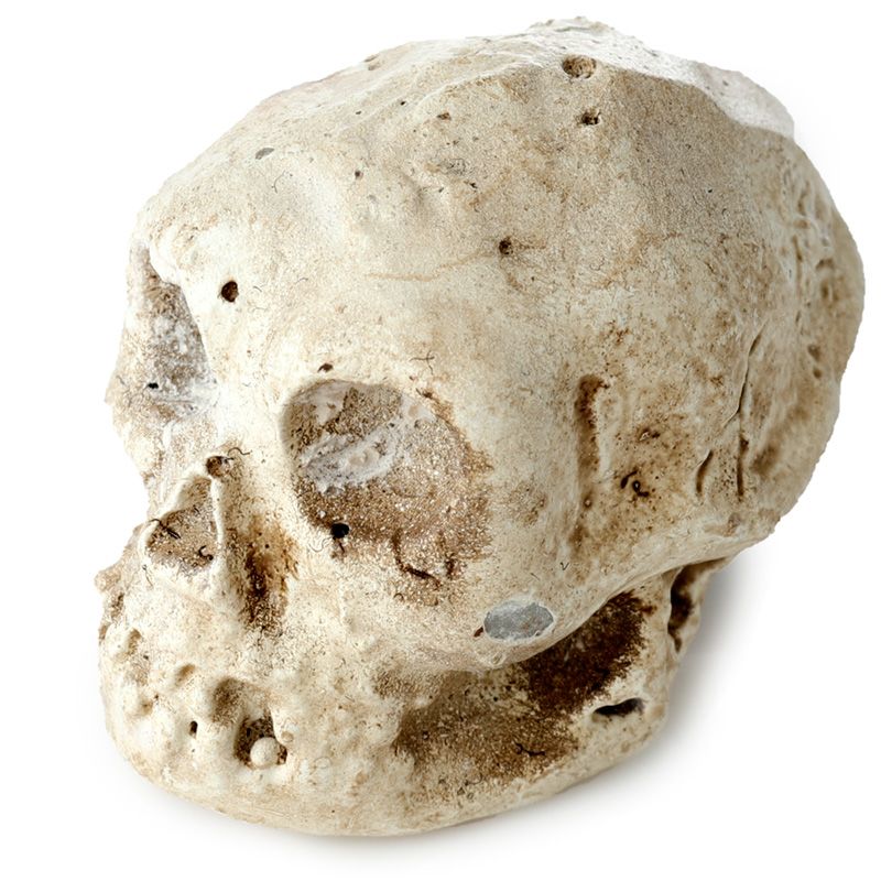 Gothic Gifts Skull Dig It Out Kit