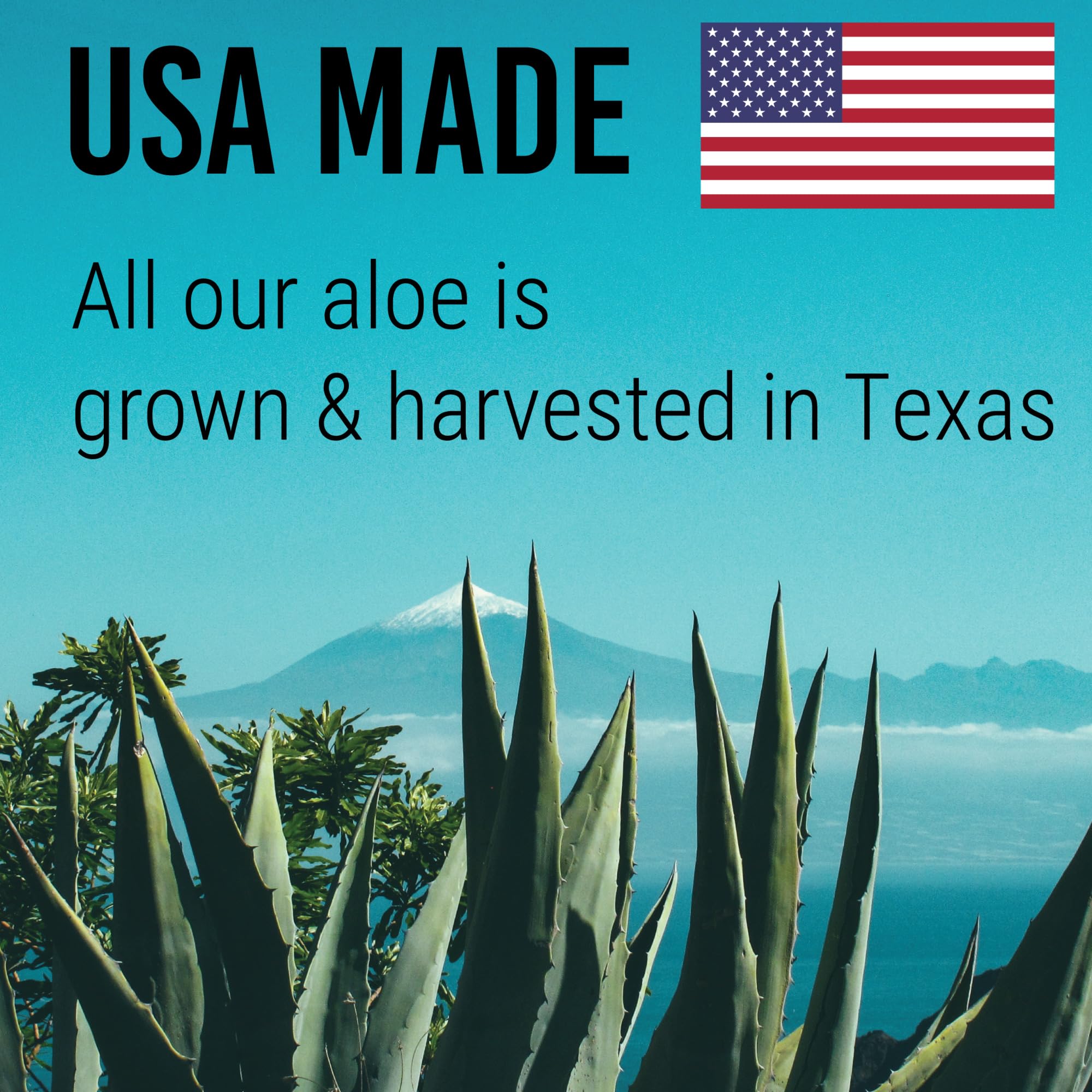Green Leaf Naturals Amazing Aloe Vera Gel – 12oz Pure, Freshly Cut, Unscented