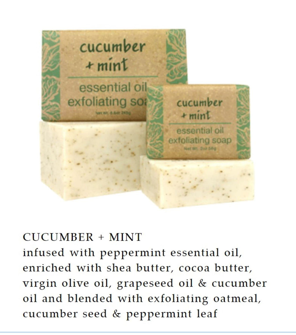 Greenwich Bay Trading Co Essential Oil Cucumber & Mint Exfoliating Bath Bar Soap – Set of 2, 8.6 oz Each