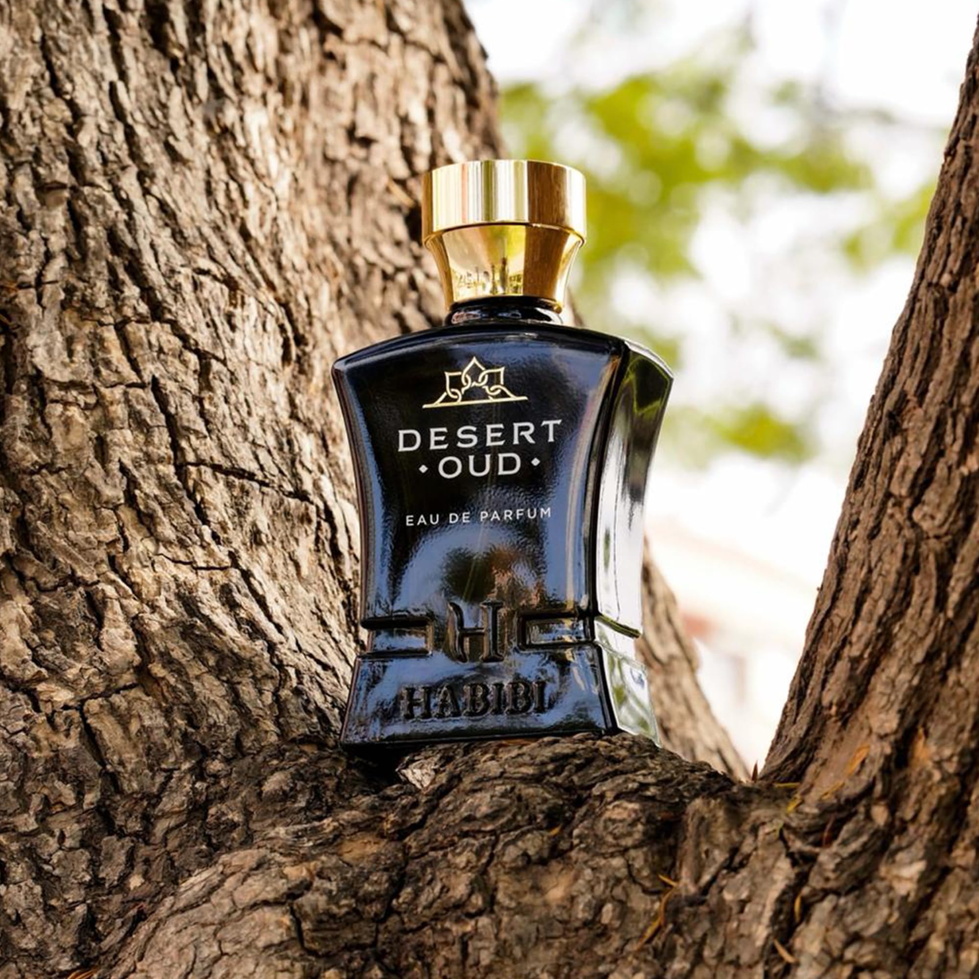 H HABIBI Desert Oud Perfume for Men – 2.5 oz / 75 ml Long-Lasting Floral Woody Arabian Cologne