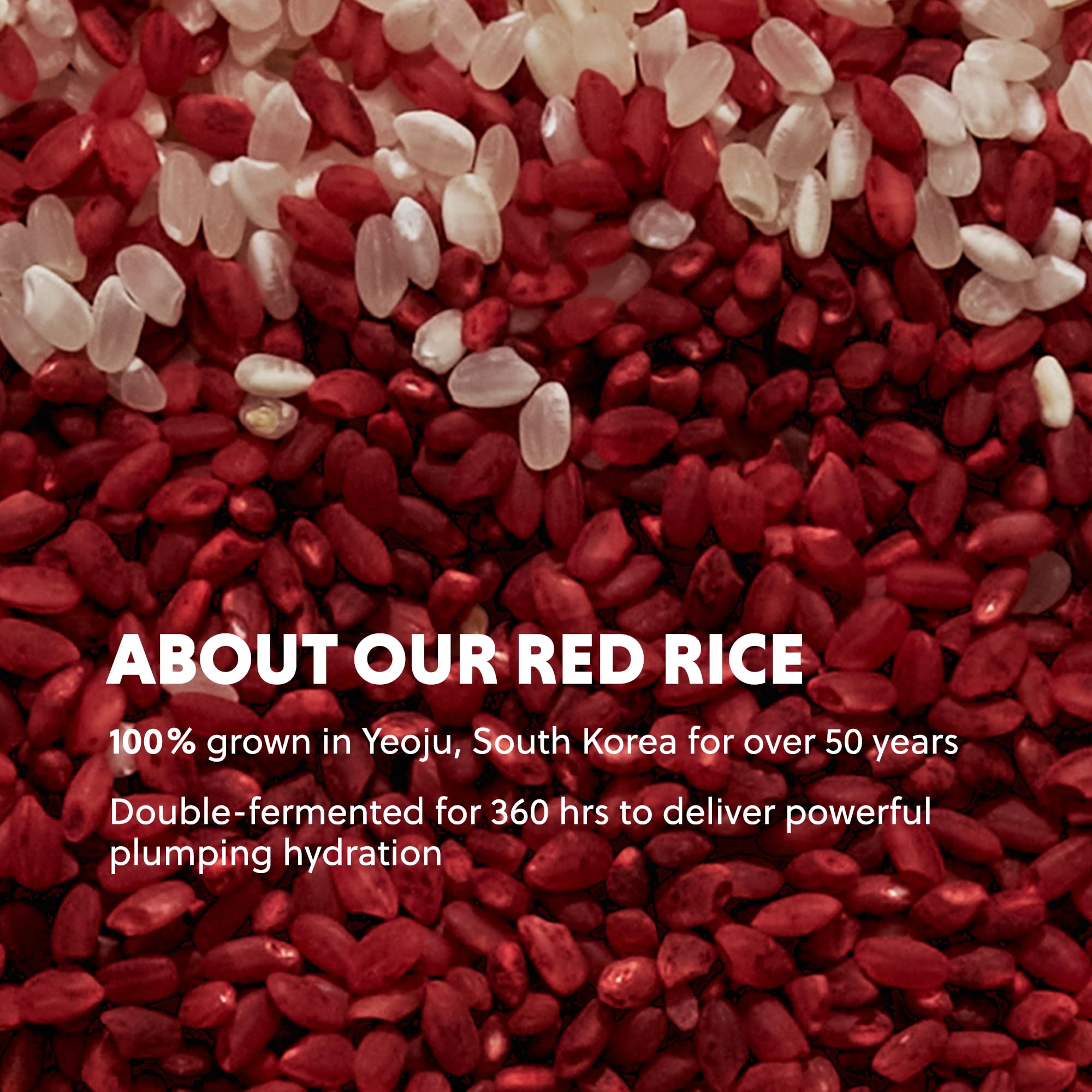 HANYUL Red Rice Hydrating Cream with Fermented Rice Extract | Vegan Ceramide Moisturizer for Deep Hydration & Radiant Skin