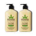 Hempz Sweet Pineapple and Honey Melon Moisturizing Lotion – 17 oz, 2 Pack Bundle
