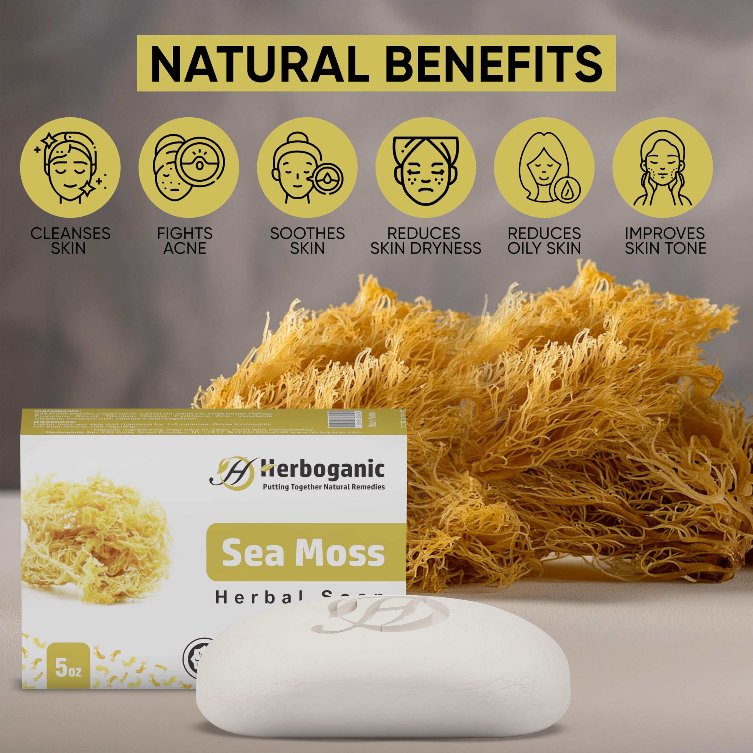 HERBOGANIC Sea Moss Herbal Soap – Pack of 3 x 5oz Bars | Hydrating Face & Body