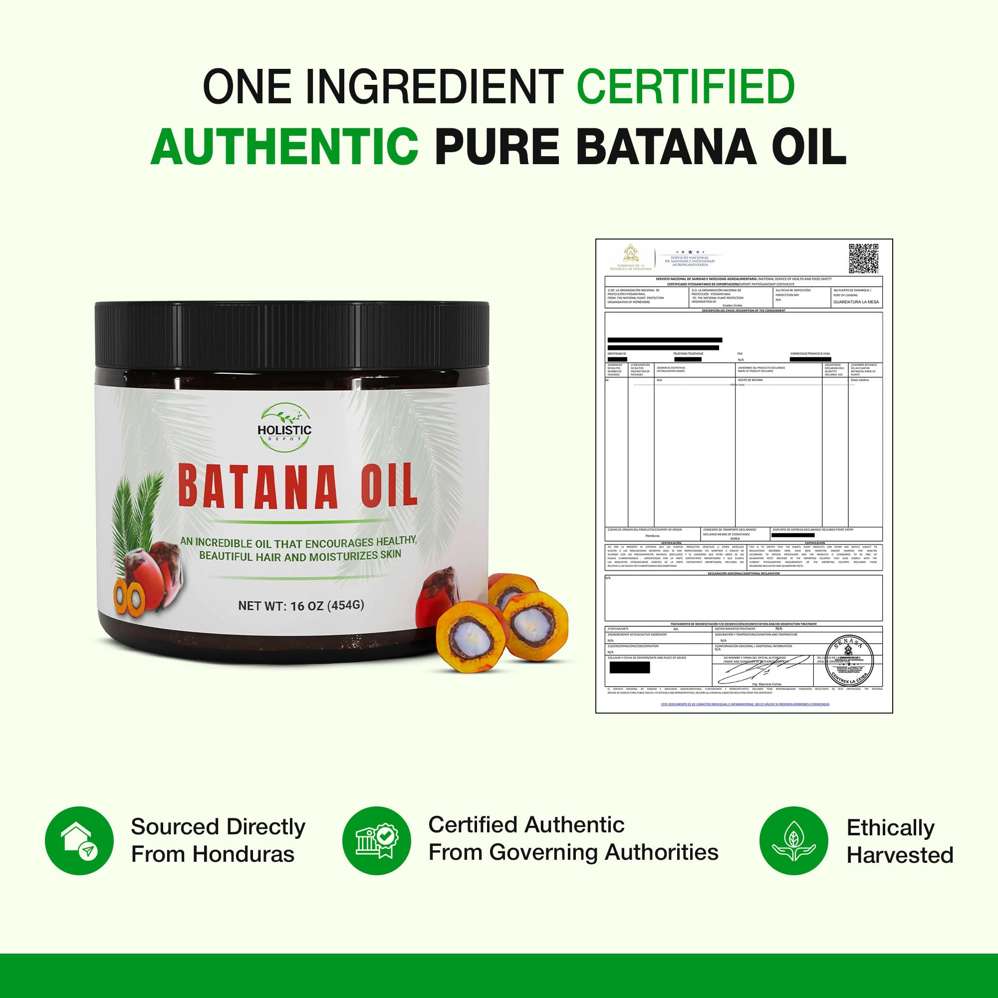 Holistic Depot Batana Oil – 100% Pure Honduran Hair & Skin Oil (16 oz)