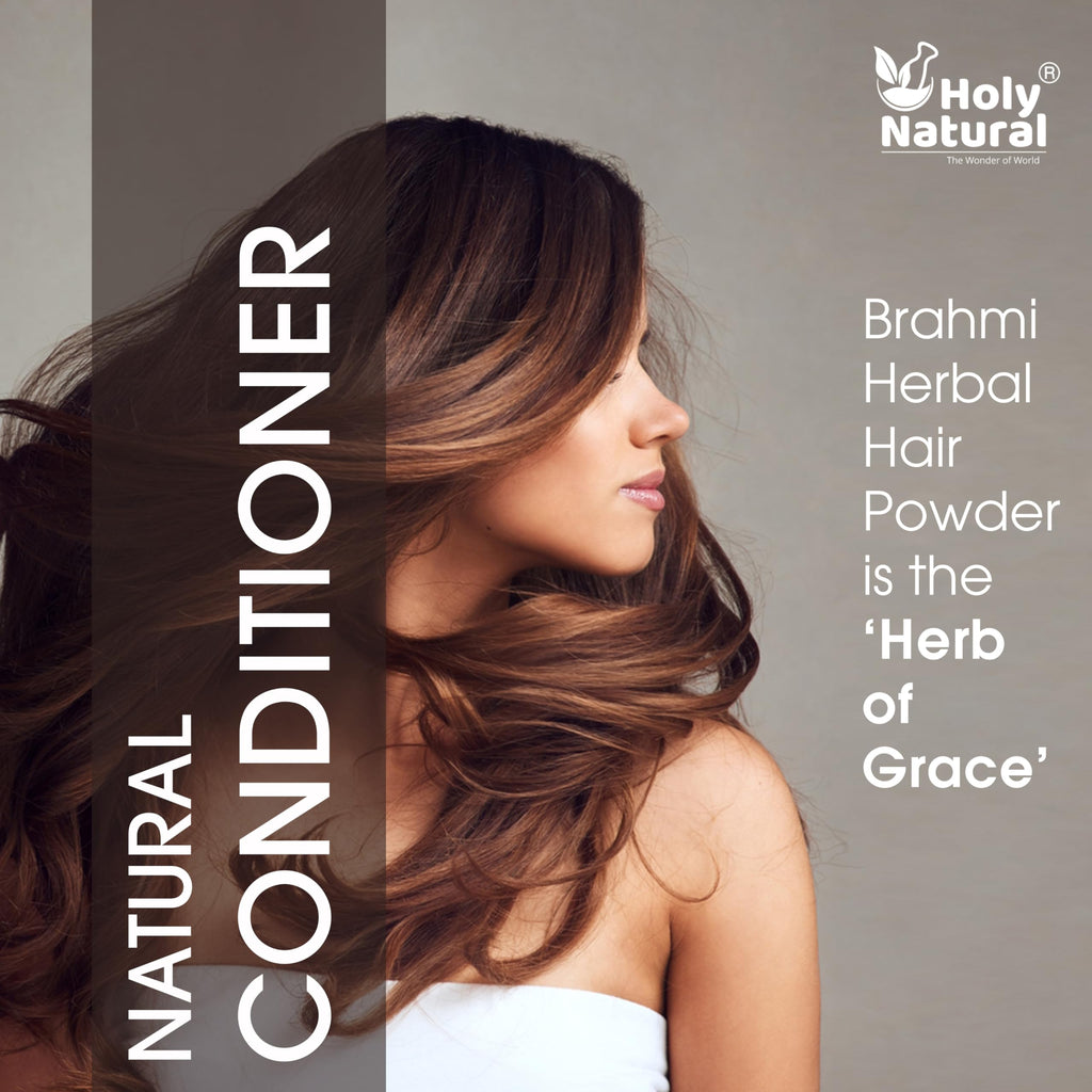Holy Natural Herbal Hair Growth Powder | 7-Herb Hair Mask (Amalaki, Bhringraj, Brahmi, Soapnut, Shikakai, Aloe Vera & Hibiscus) 100g | Resealable Pack