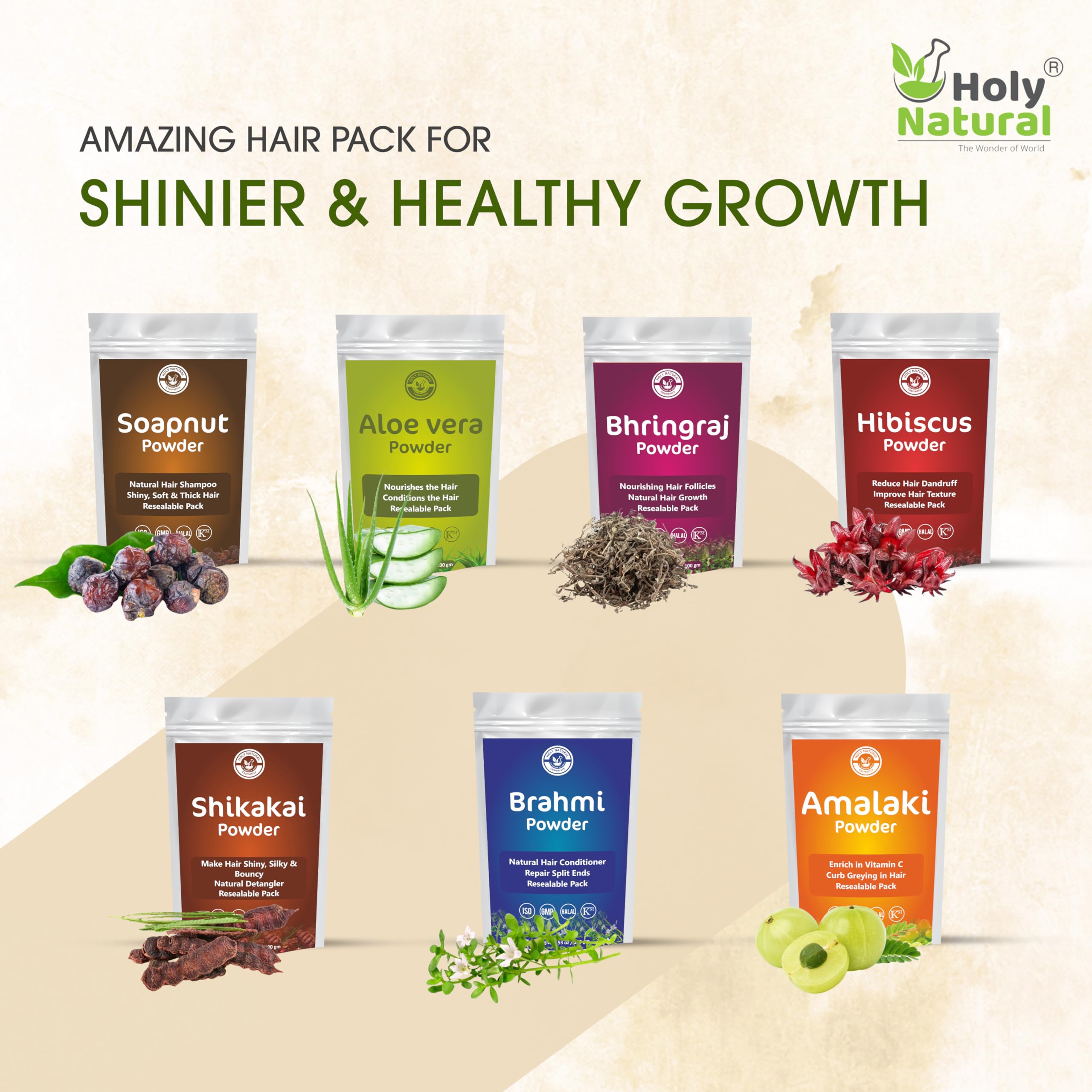 Holy Natural Herbal Hair Growth Powder | 7-Herb Hair Mask (Amalaki, Bhringraj, Brahmi, Soapnut, Shikakai, Aloe Vera & Hibiscus) 100g | Resealable Pack