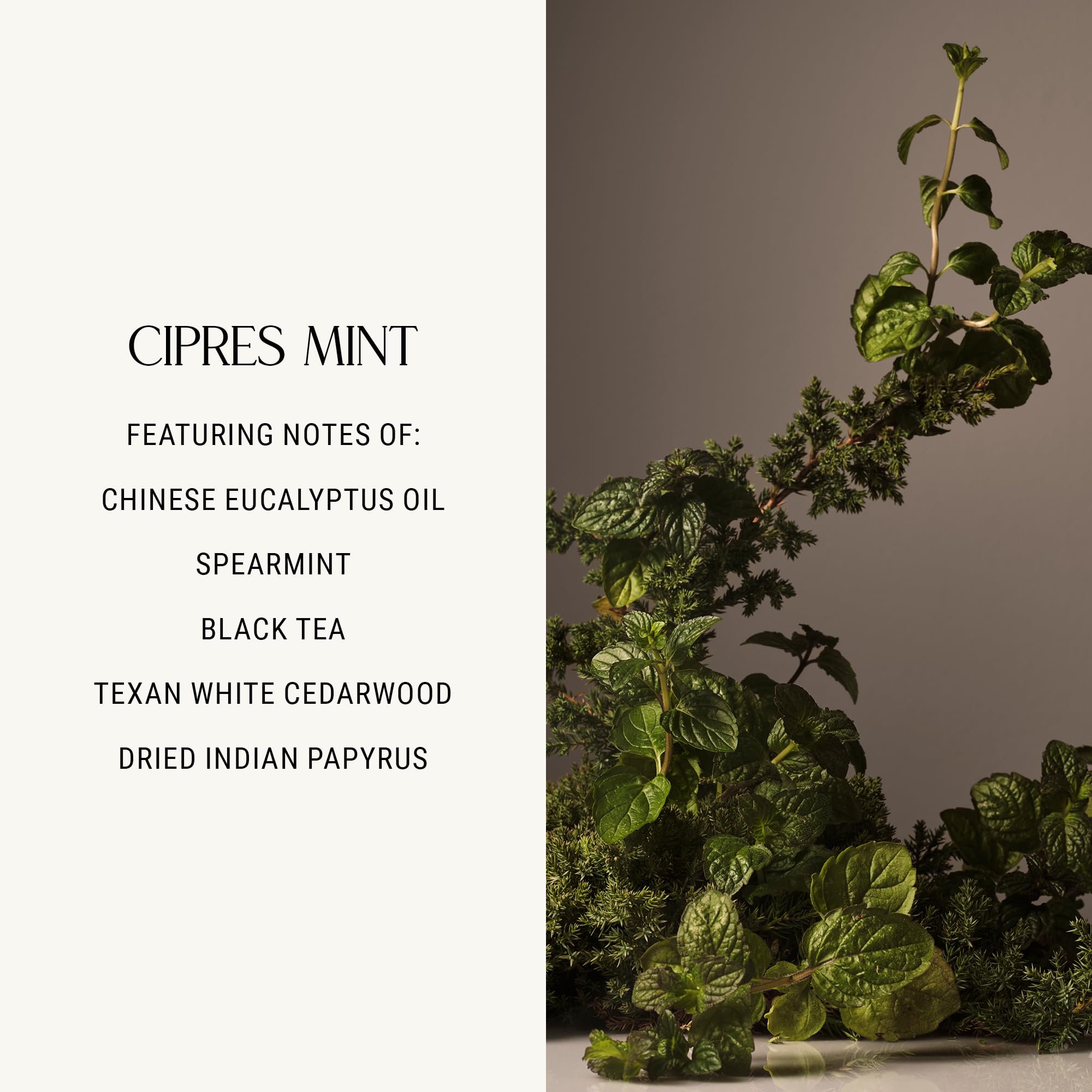 Homecourt Room Deodorant – Cipres Mint Natural Room Spray, Spearmint & Cedarwood, 3.4 oz
