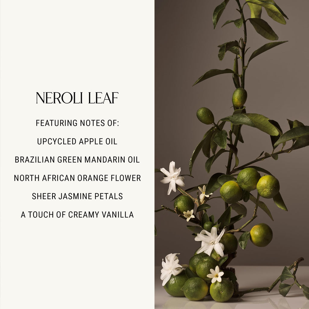 Homecourt Hand Wash Neroli Leaf – Gentle Hydration, Clean Formula, 12 fl oz