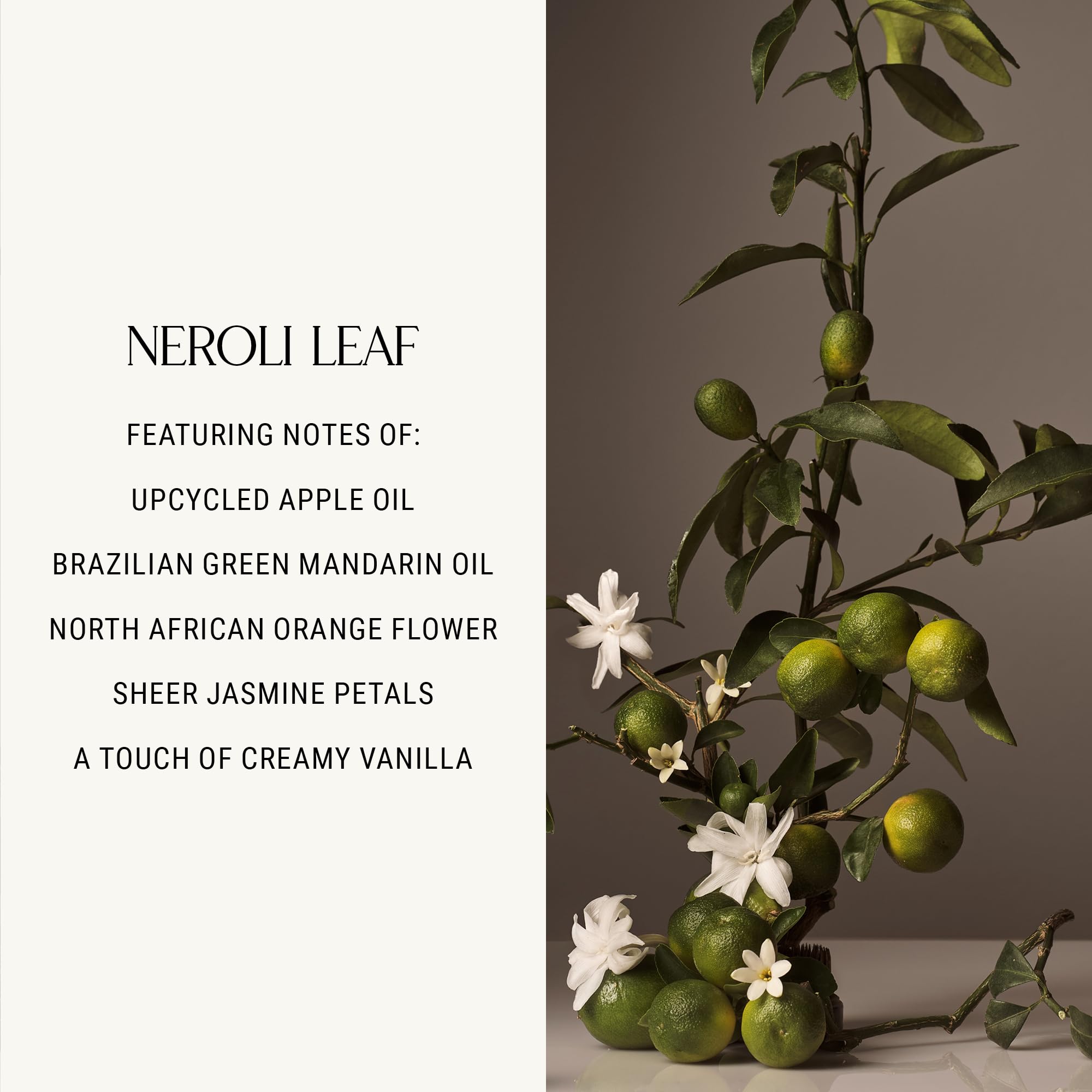 Homecourt Hand Wash Neroli Leaf – Gentle Hydration, Clean Formula, 12 fl oz