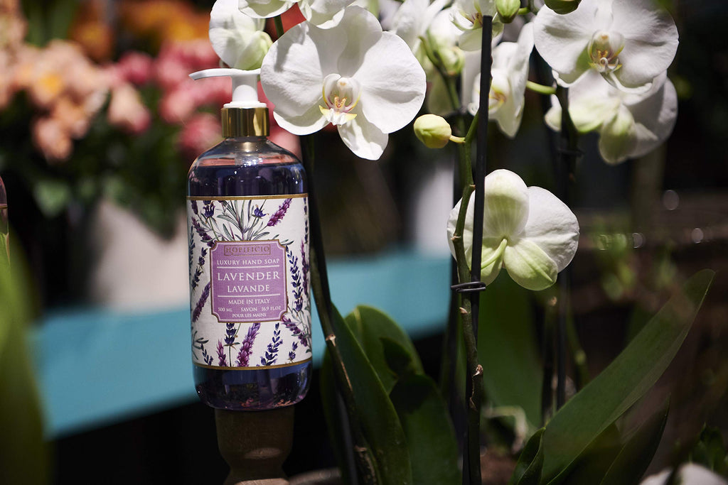 Hopificio Lavender Liquid Hand Soap – Hypoallergenic & Sulfate-Free (16.9 oz)