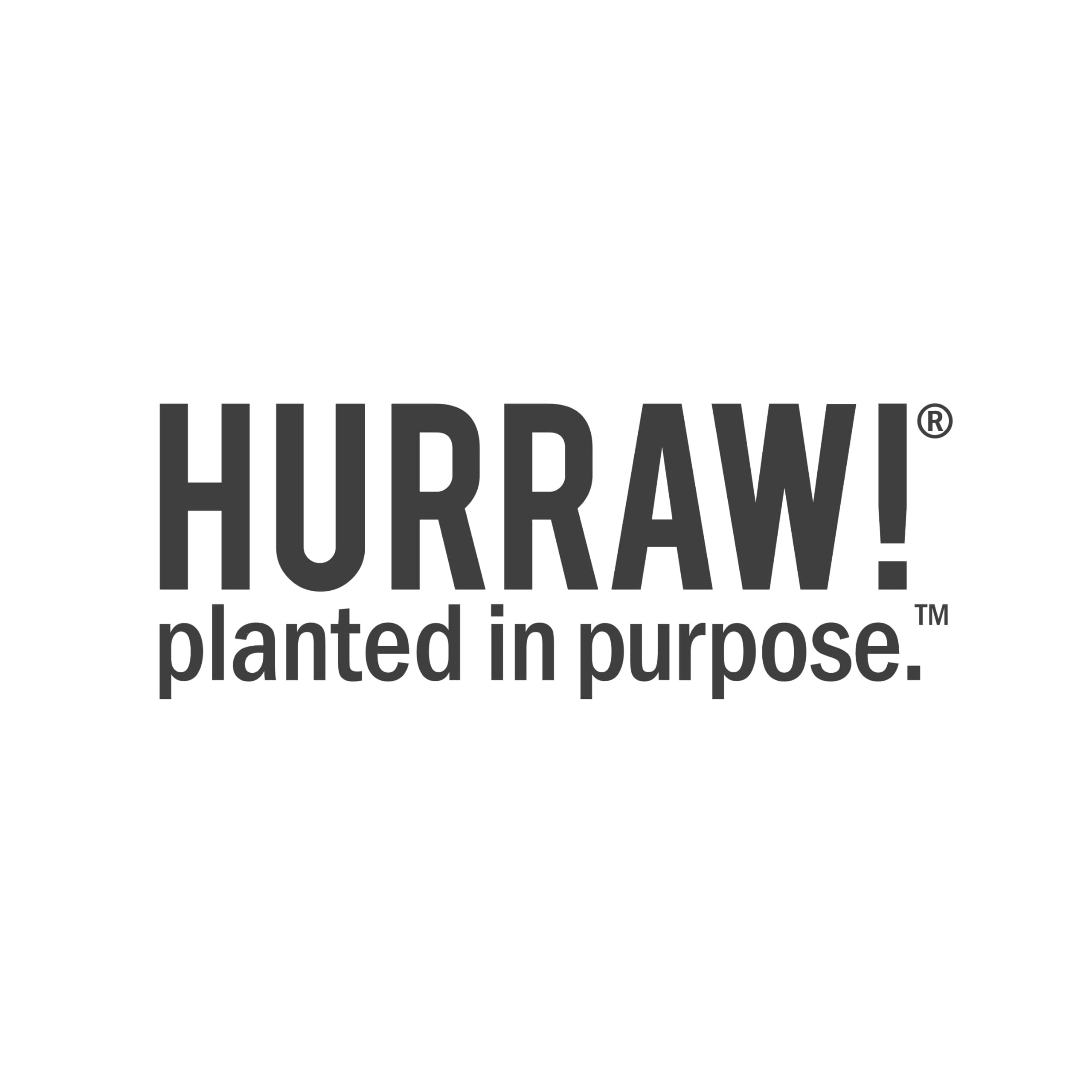 Hurraw! Almond, Coconut & Licorice Lip Balms 3-Pack – Organic, Vegan, Cruelty-Free, Made in USA