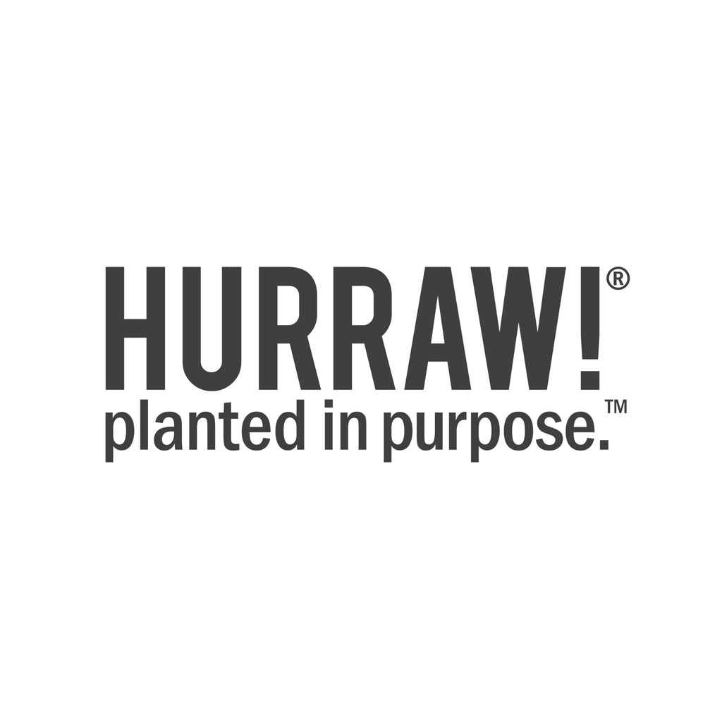 Hurraw! Chocolate & Mint Lip Balm 3 Pack – Plastic-Free Cardboard Tubes, Organic & Vegan