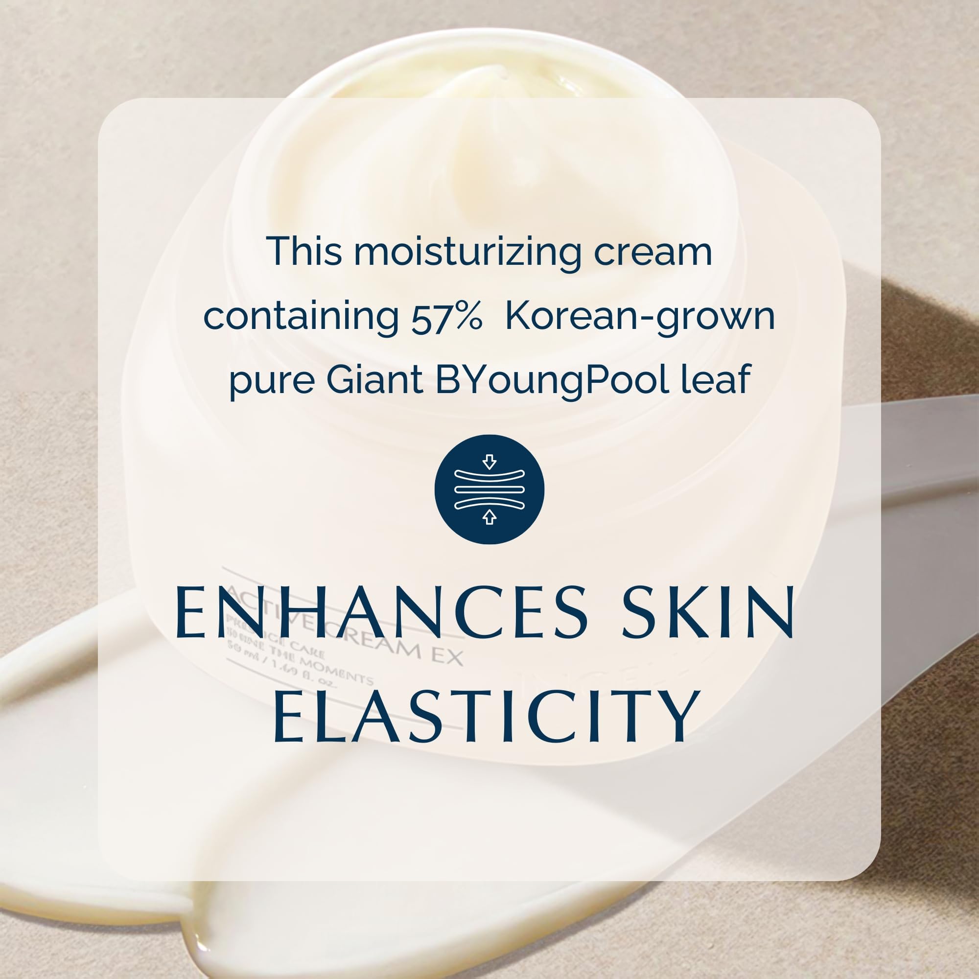INCELLDERM Active Cream 50ml | Strengthen Skin Barrier with Plant Stem Cell | Intense Moisturizing for All Skin Types | K-Beauty Made in Korea