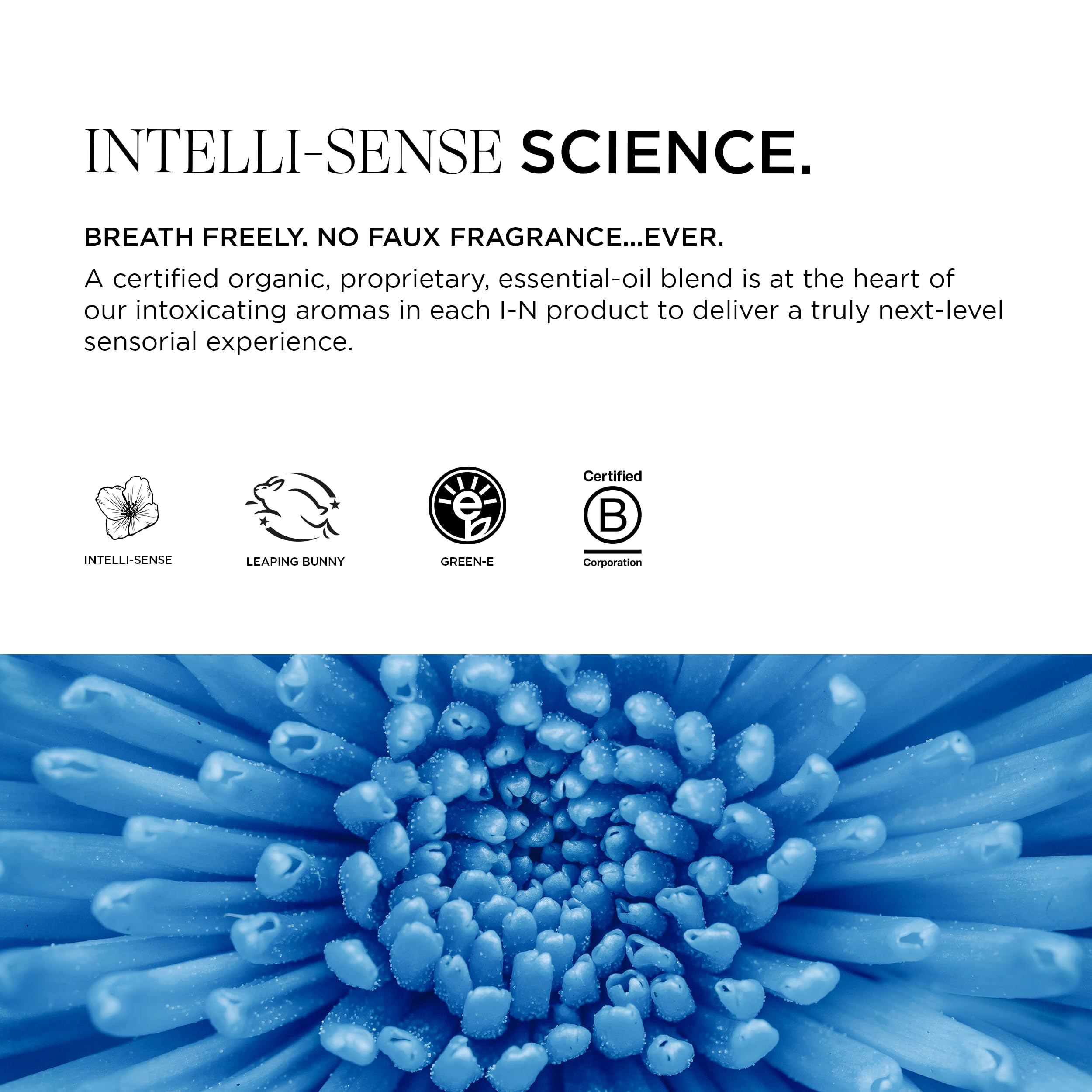 Intelligent Nutrients Tousled Texture Matte Paste – Natural Medium Hold, Matte Finish, Organic Castor & Safflower Oils