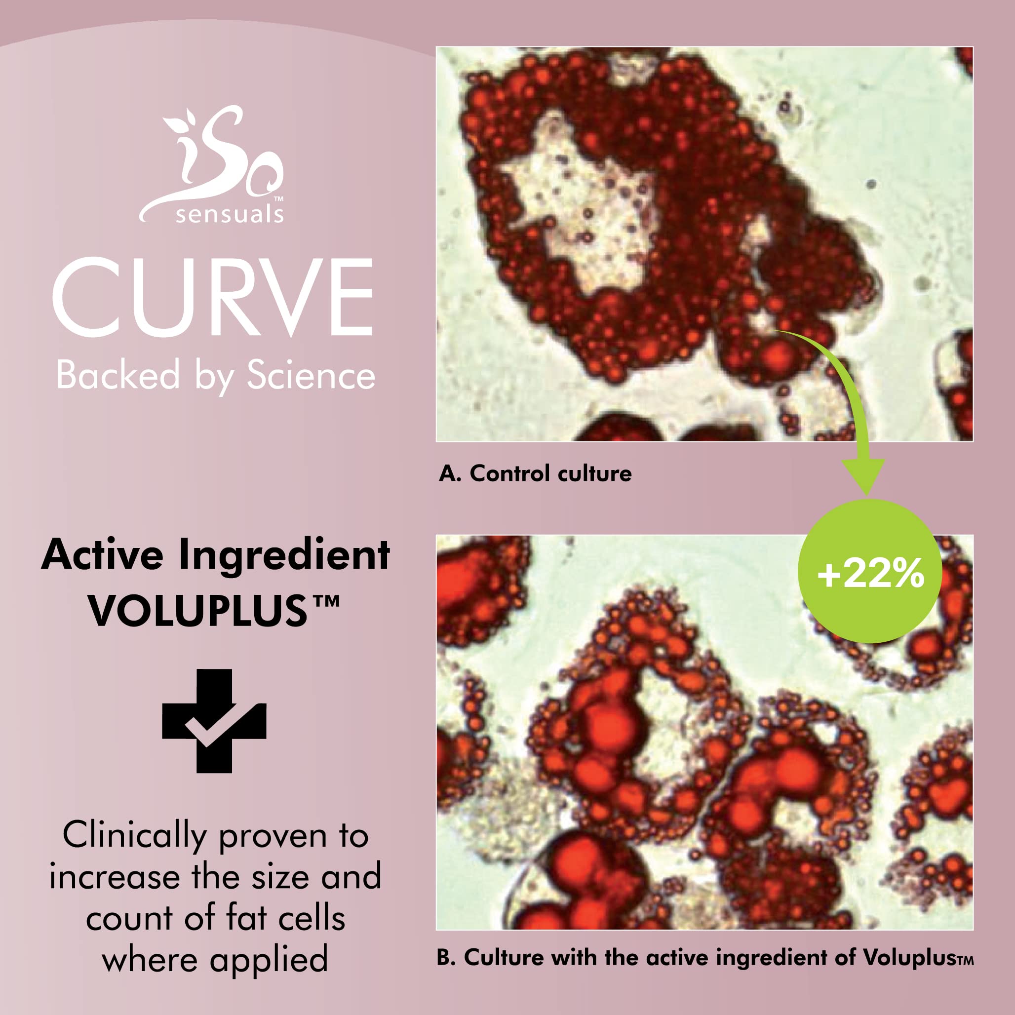 IsoSensuals CURVE Butt Enhancement Cream – Natural Growth & Fuller Curves for Women & Men | 2 Month Supply