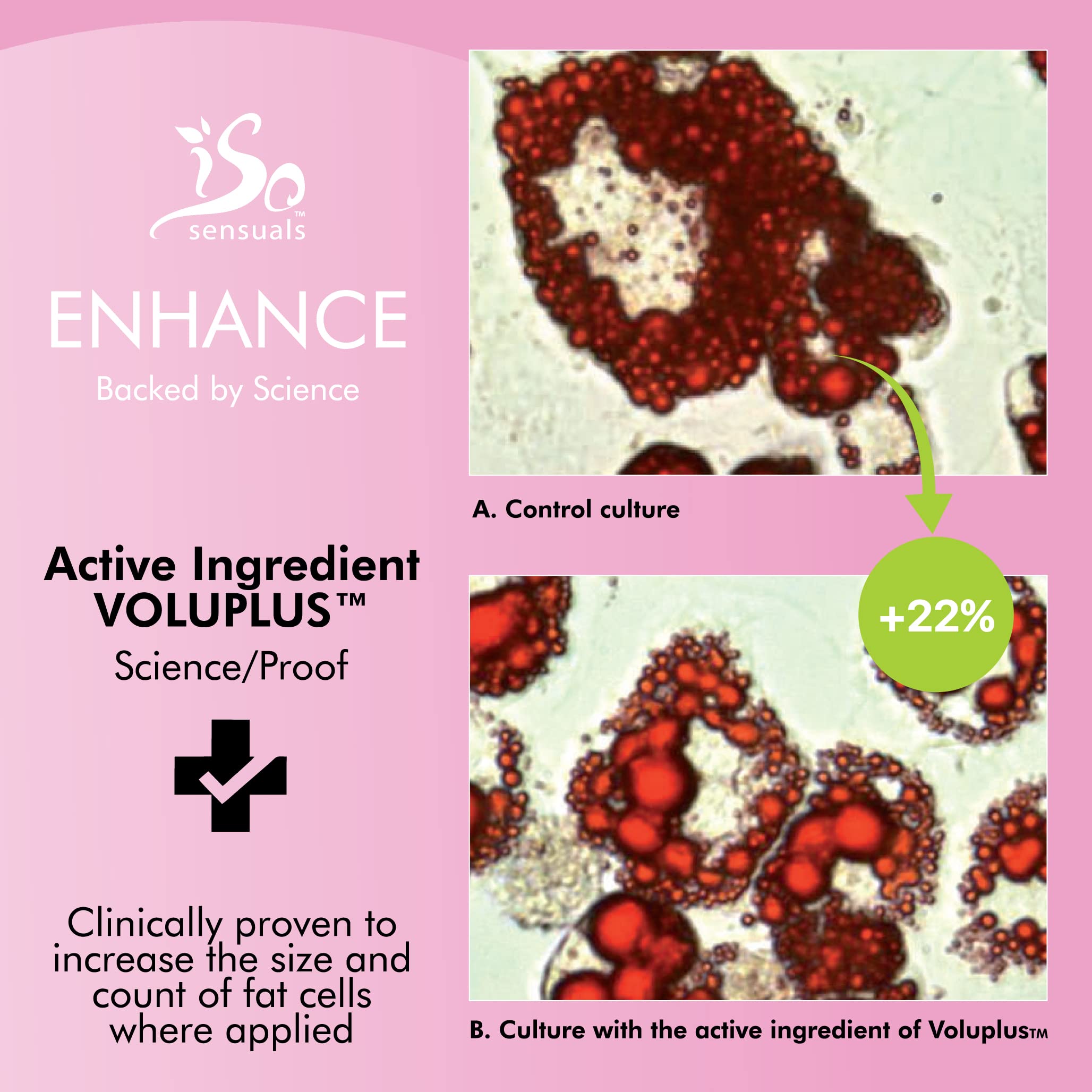IsoSensuals ENHANCE – Rapid-Action Breast Cream for Lift, Firming & Potential Fullness – 2-Month Supply