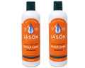 Jason Dandruff Relief Treatment Shampoo 12 oz (Pack of 2) – Sulfur & Salicylic Acid