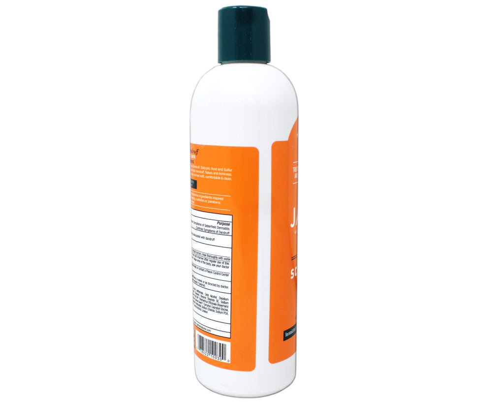 Jason Dandruff Relief Treatment Shampoo 12 oz (Pack of 2) – Sulfur & Salicylic Acid