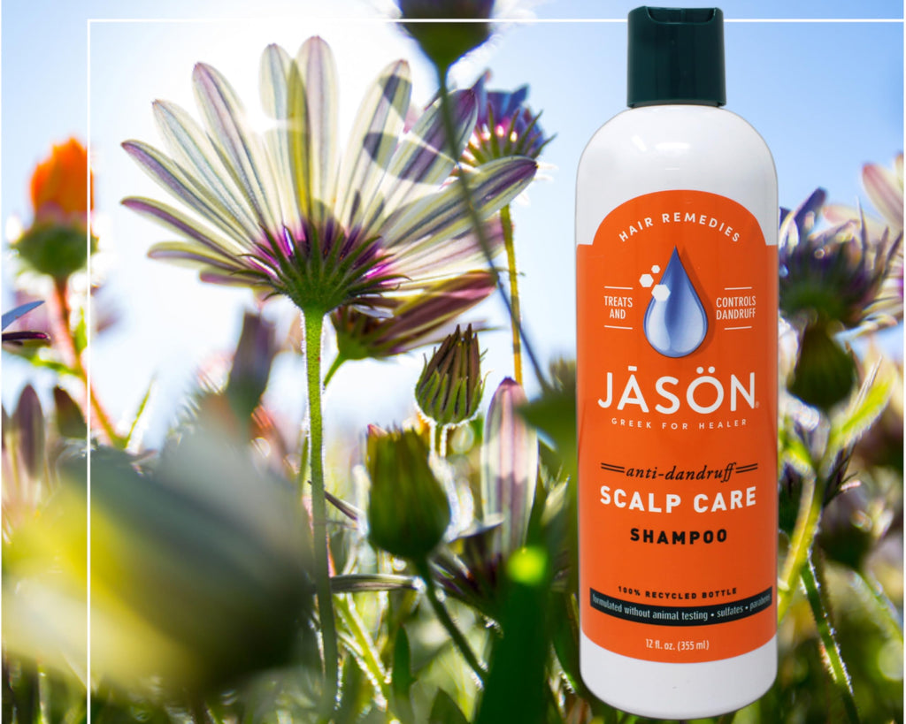 Jason Dandruff Relief Treatment Shampoo 12 oz (Pack of 2) – Sulfur & Salicylic Acid
