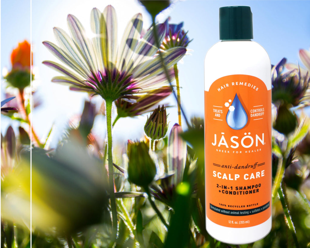 Jason Shampoo Cndtnr Dandruff – Gentle Dandruff Control & Nourishing Oils