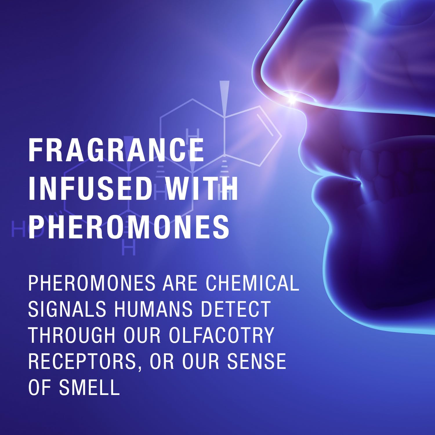 Bedroom Kandi Heartthrob Body Lotion - Pheromone-Infused Moisturizer by Kandi Burruss