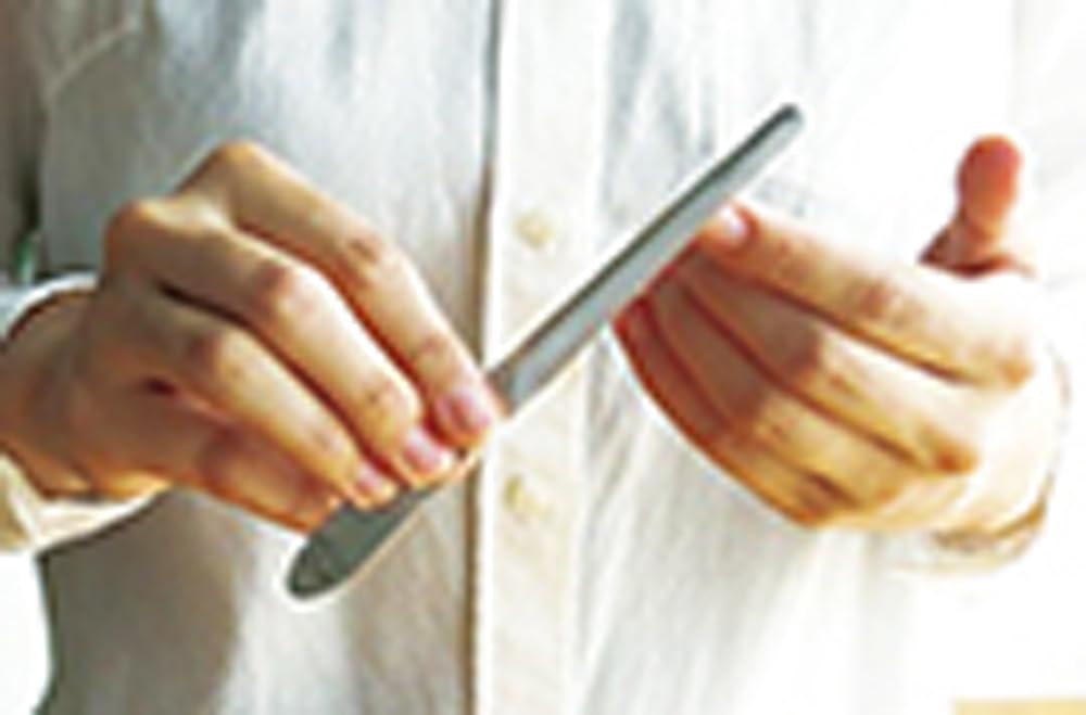 Karasawa Yasuri Standard Nail File with Mocha Case | Ergonomic Curve, High-Carbon Steel | Made in Japan