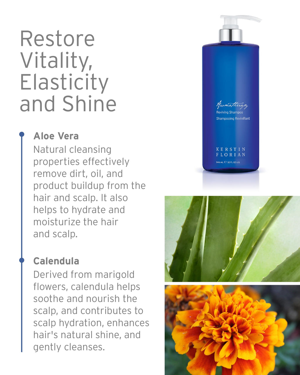 Kerstin Florian Reviving Shampoo | Hydrating Aloe & Wheat Protein for All Hair Types | 32 fl oz