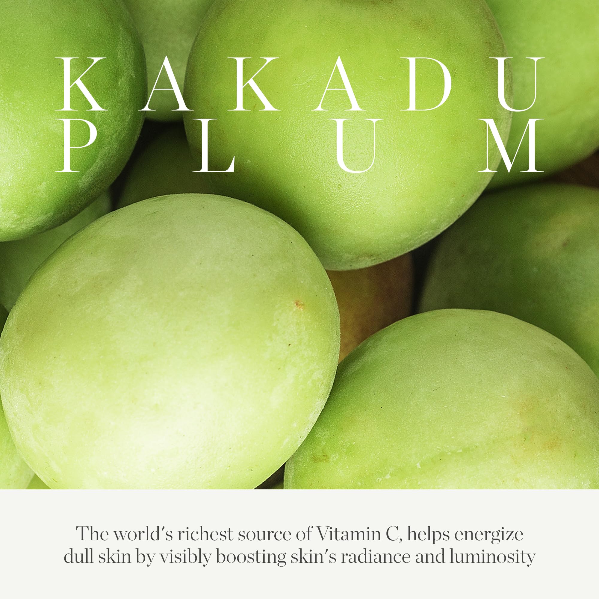 KORA Organics Kakadu Plum Vitamin C Eye Cream Refill | Hydration & Radiance