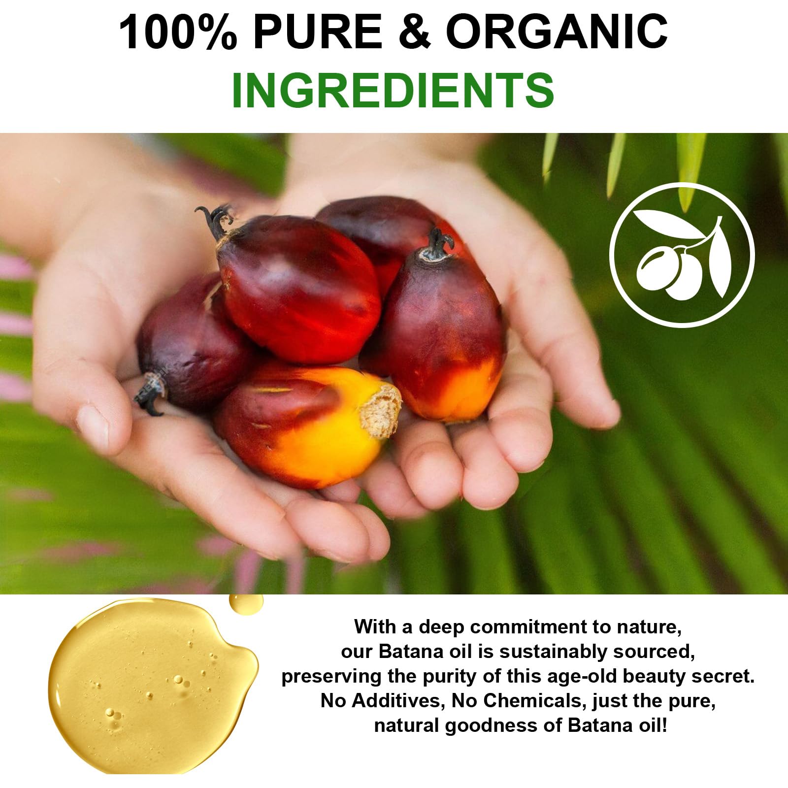 KPNEMA Batana Oil for Hair Growth – 2 Pack, 100% Pure Organic Hair & Skin Care