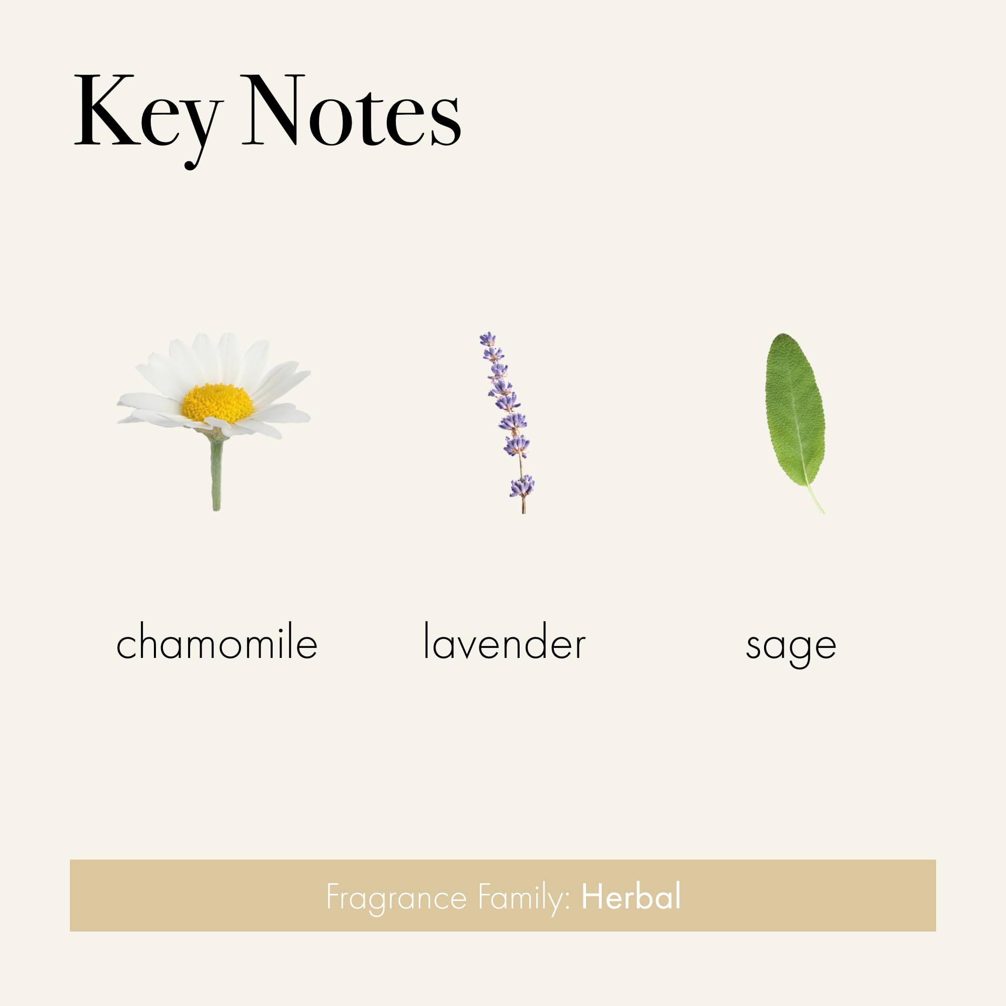 LAFCO New York Liquid Soap Chamomile Lavender – 12 oz | Hypoallergenic, Plant-Based, Made in Italy