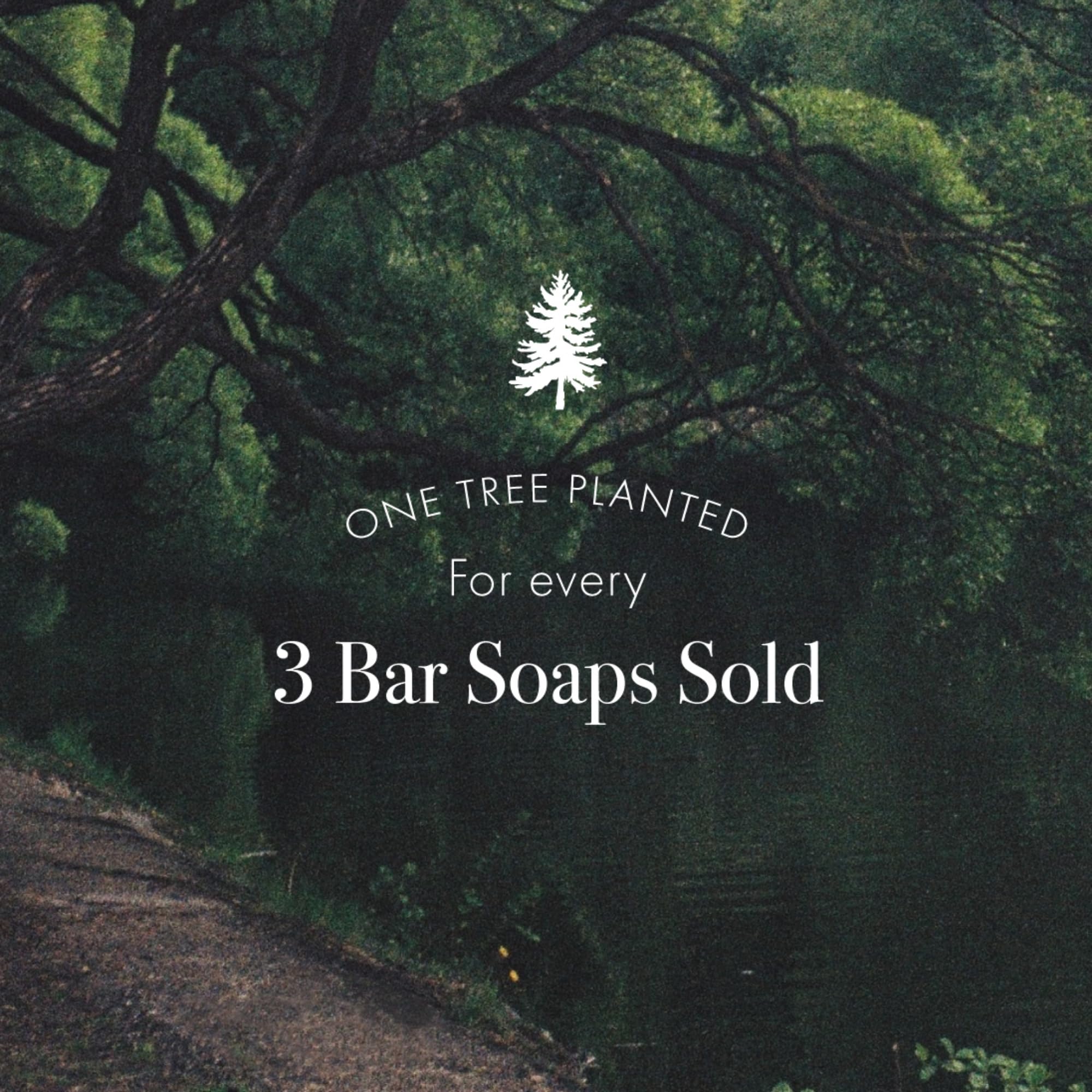 LAFCO New York Sea & Dune Bar Soap – Ultra-Hydrating, All Skin Types, 7 oz, Made in Europe