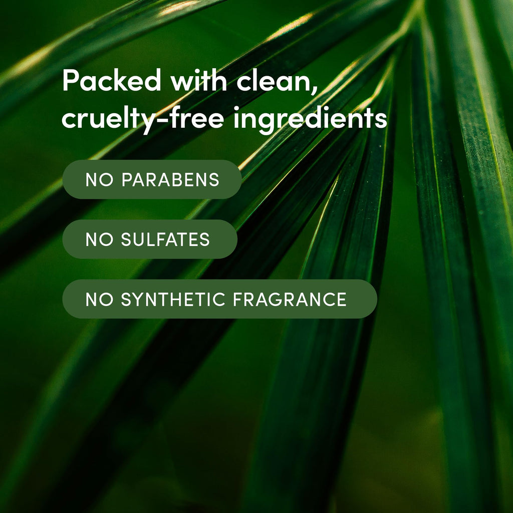 LATHER Bamboo Lemongrass Hair Wash – 8 fl oz (2-Pack) | Daily Shampoo & Cleanser