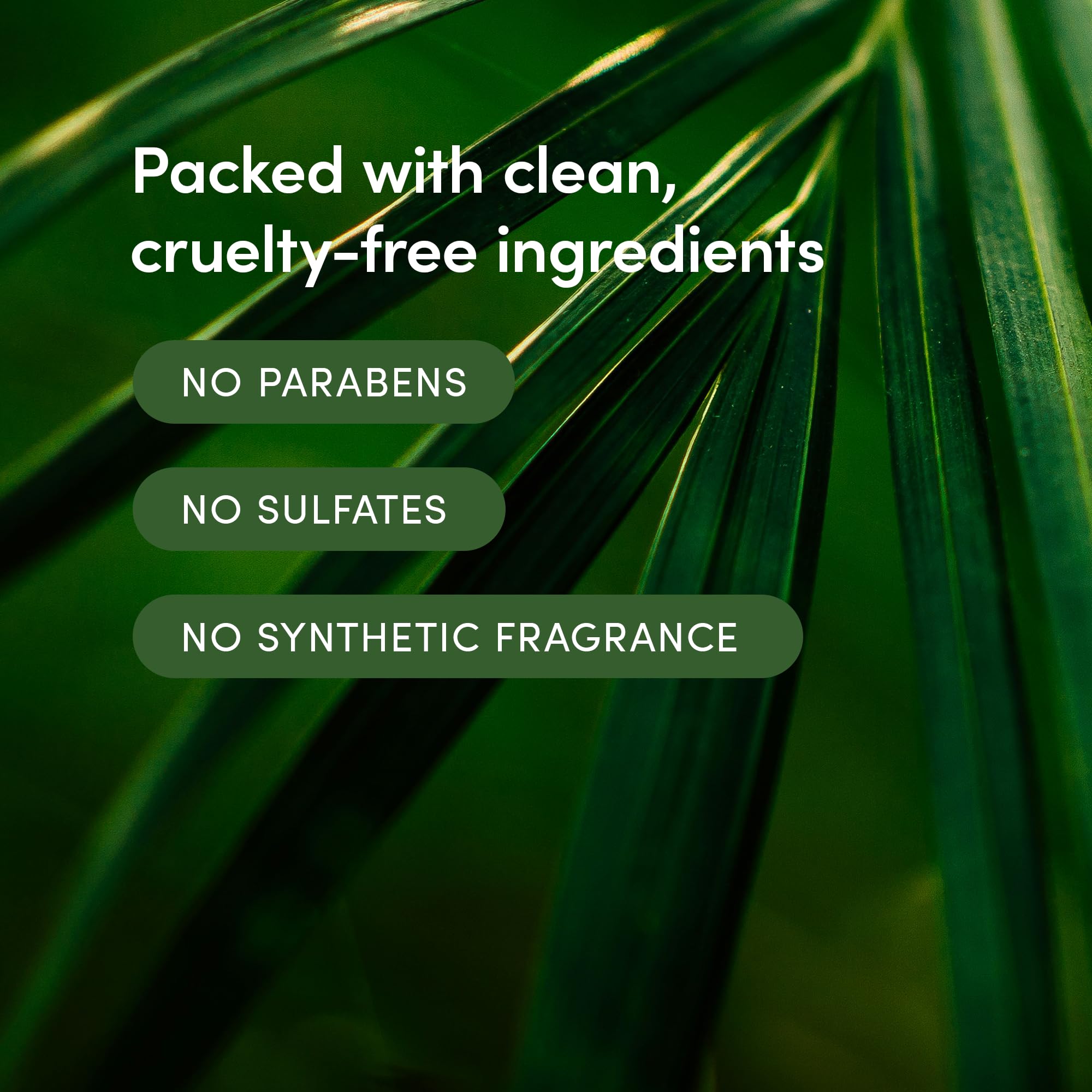 LATHER Bamboo Lemongrass Hair Wash – 8 fl oz (2-Pack) | Daily Shampoo & Cleanser