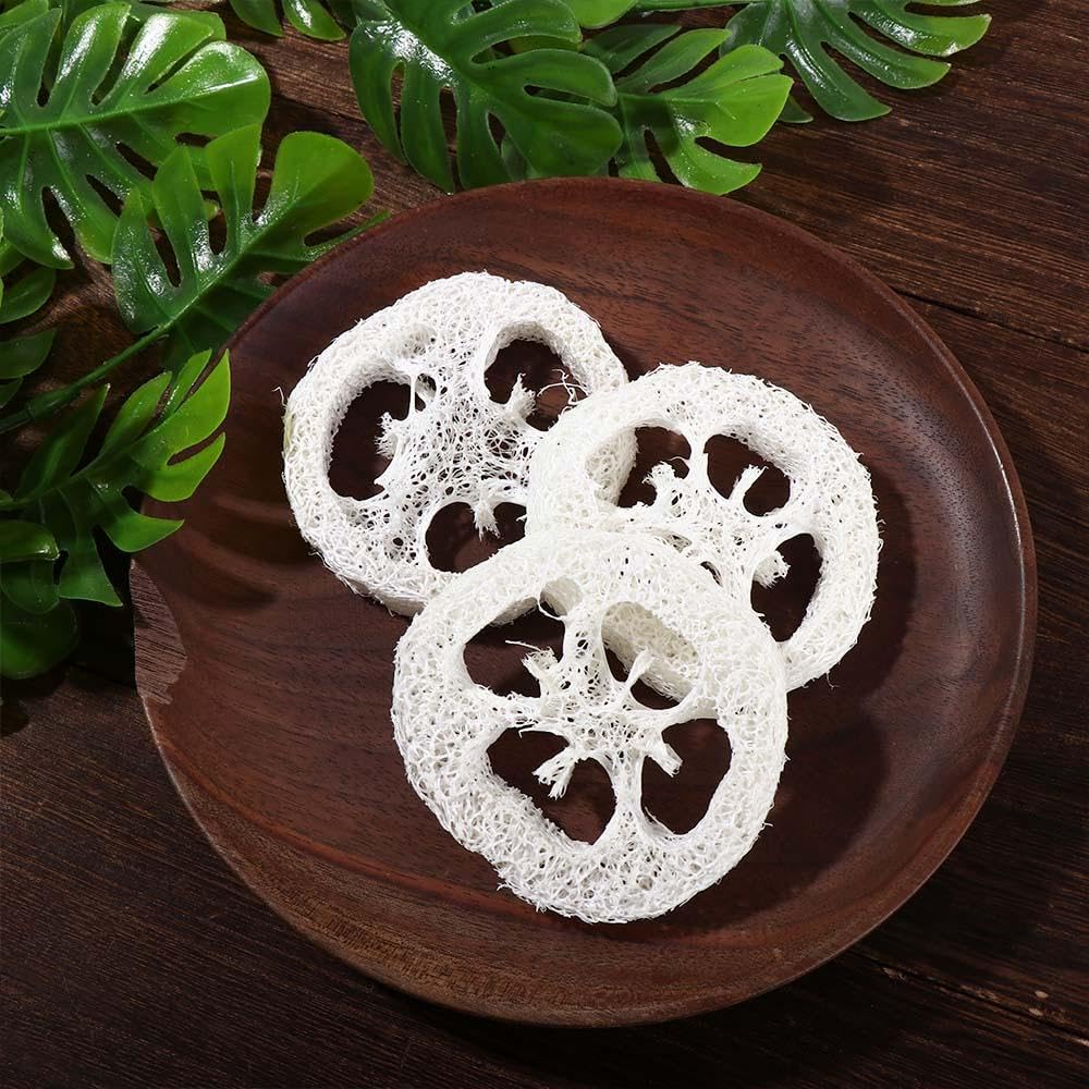 Leadigol Natural Loofah Slices – 10-Pack, 2 Inch, 5-7 cm Dia, 1 cm Thick, Body Scrub, Dishwashing & Soap Dish