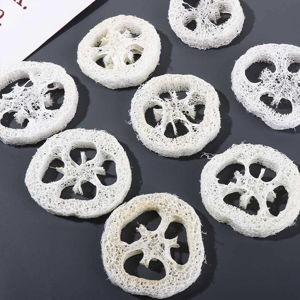 Leadigol Natural Loofah Slices – 10-Pack, 2 Inch, 5-7 cm Dia, 1 cm Thick, Body Scrub, Dishwashing & Soap Dish